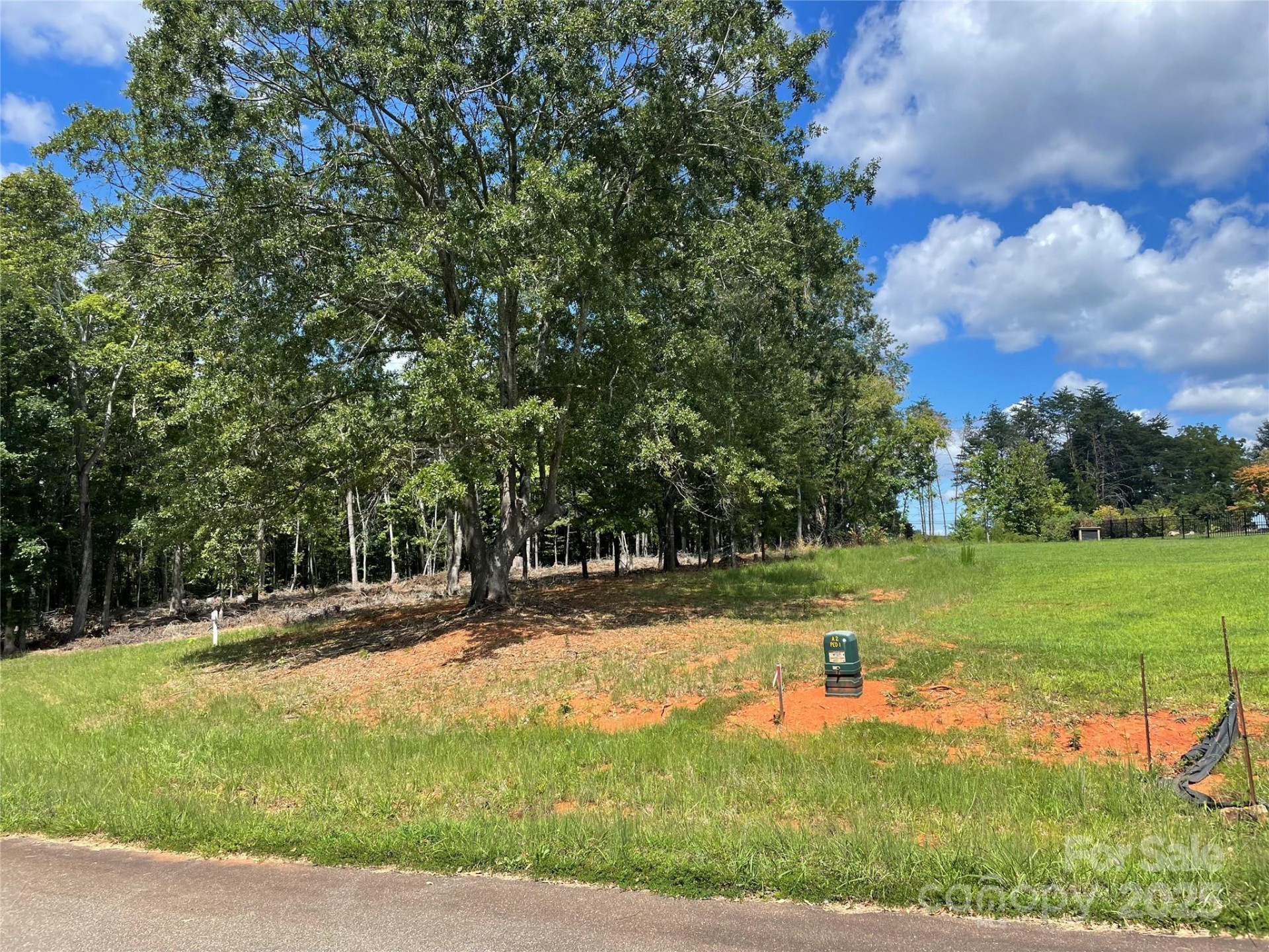 00 Carriage Drive - Photo 4