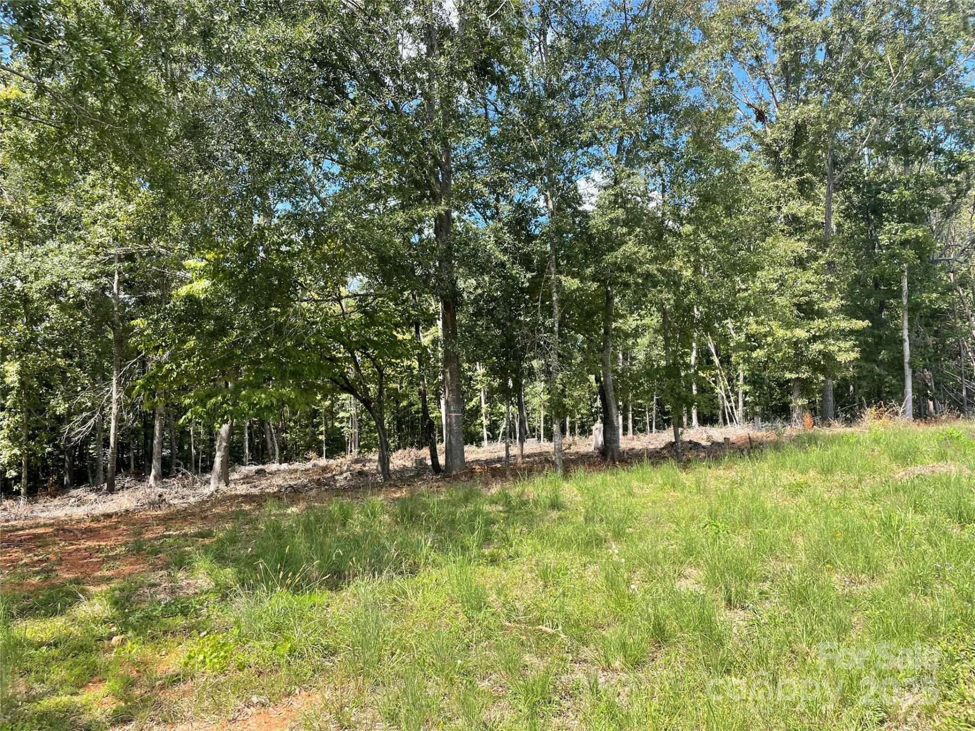 00 Carriage Drive - Photo 6