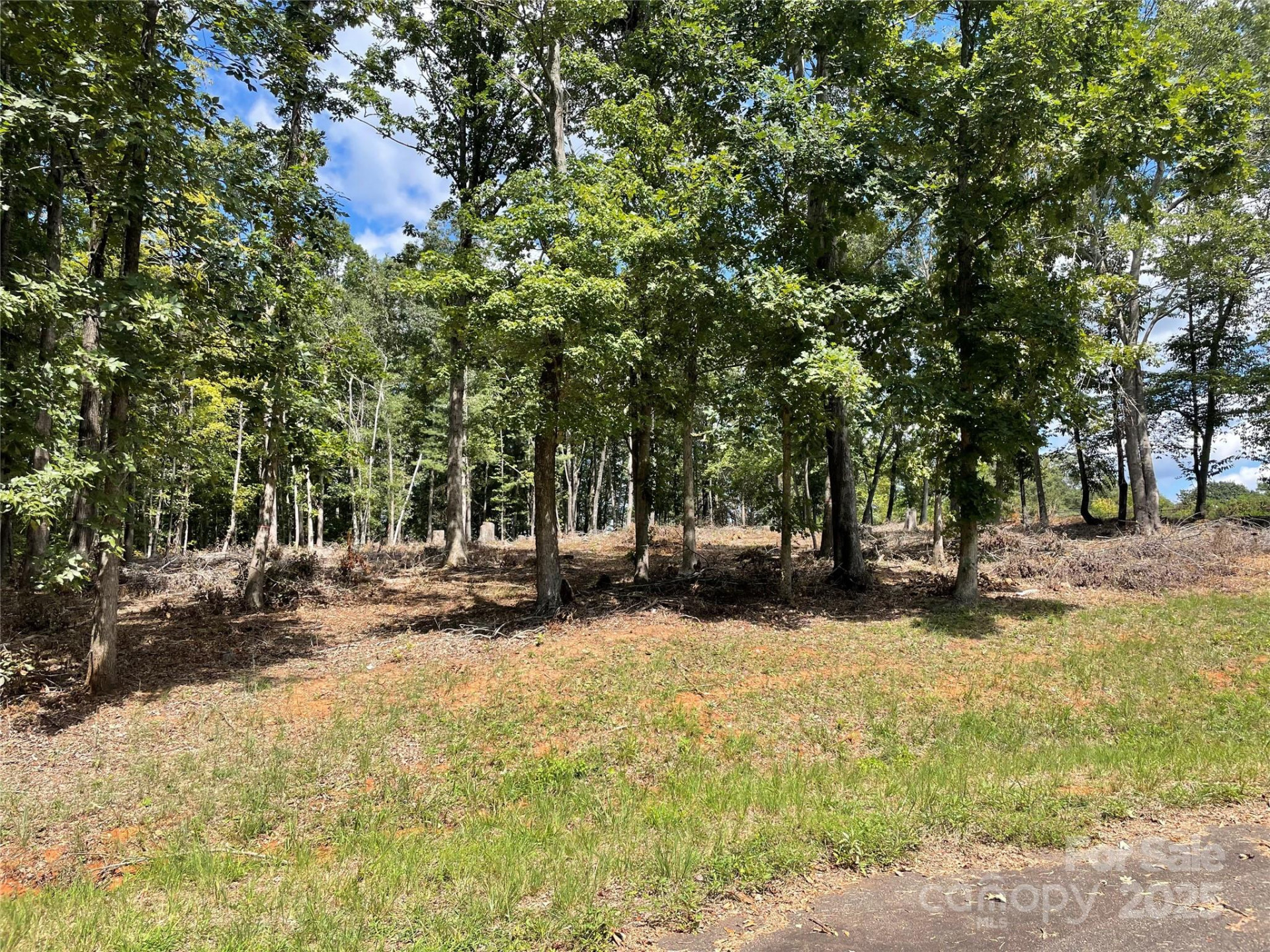 00 Carriage Drive - Photo 7