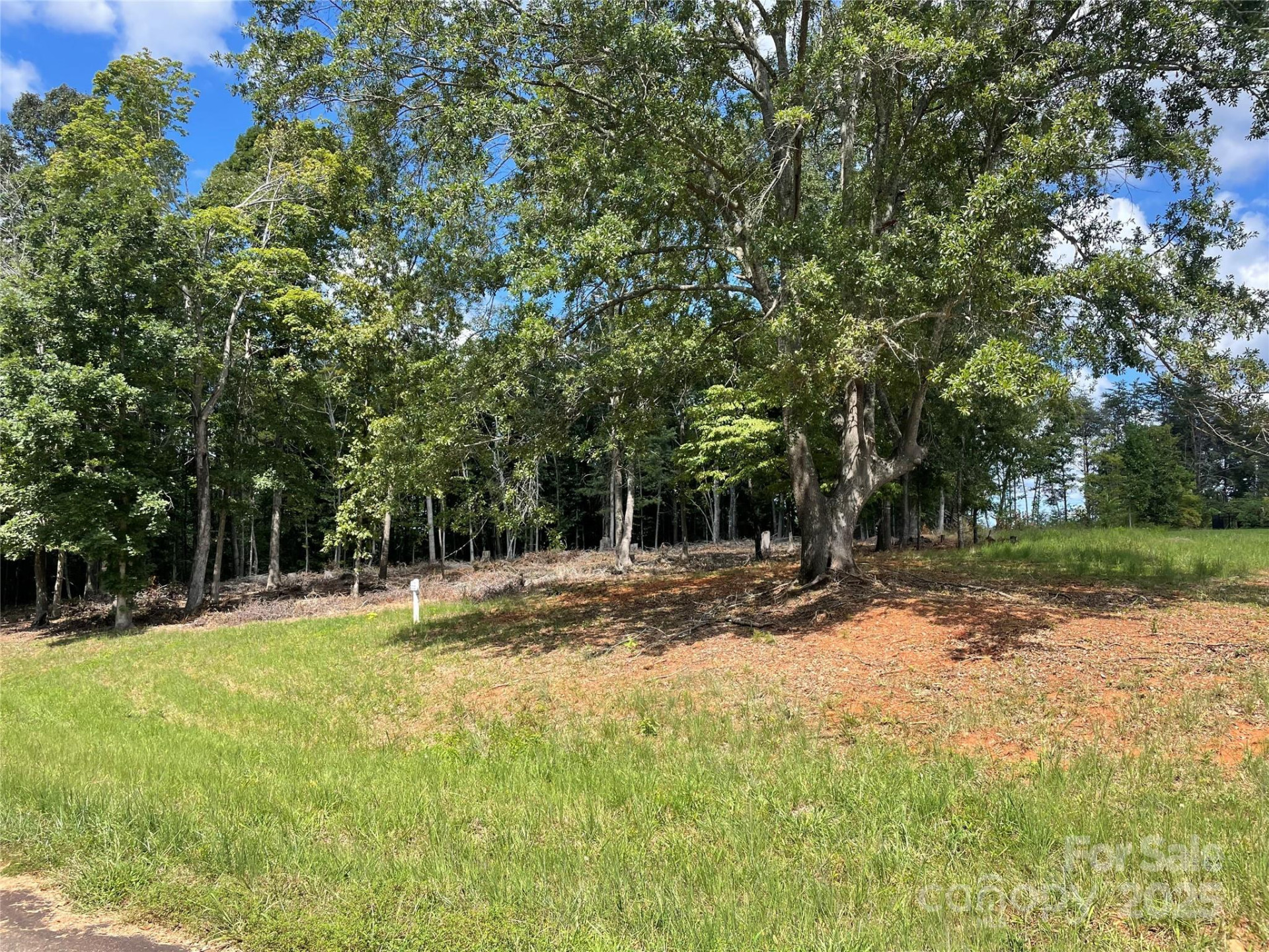 00 Carriage Drive - Photo 8