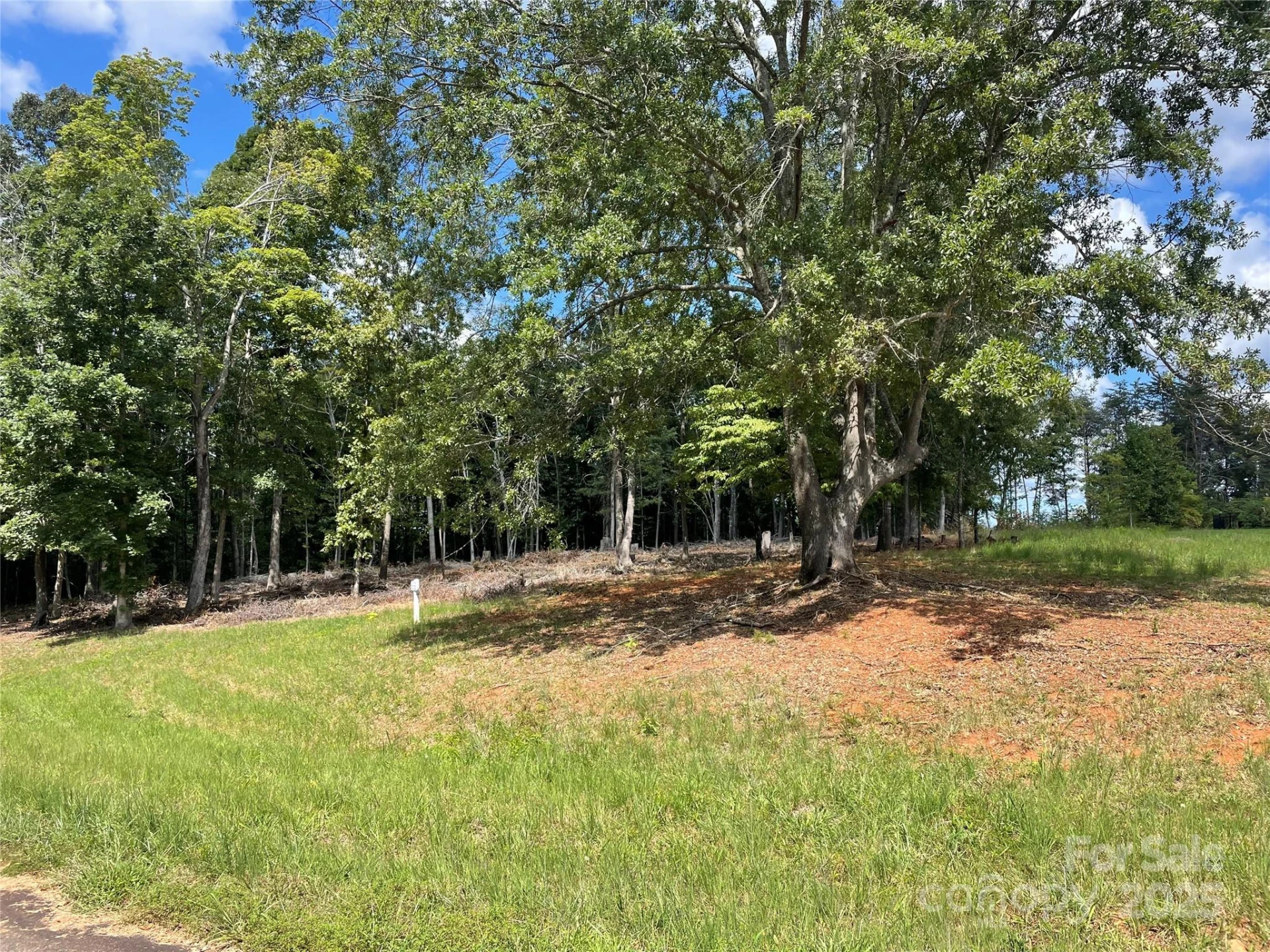 00 Carriage Drive - Photo 8