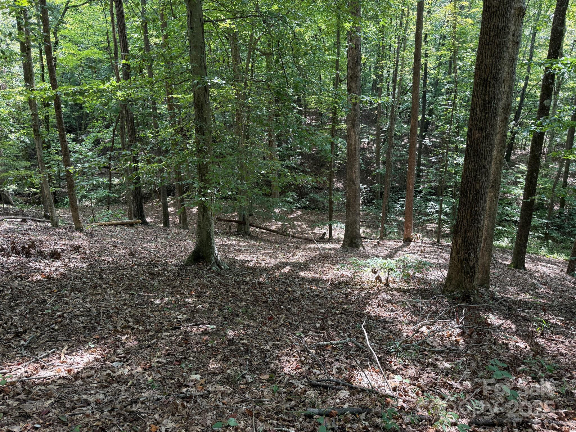 0 Mountain Brook Trail #298 - Photo 2