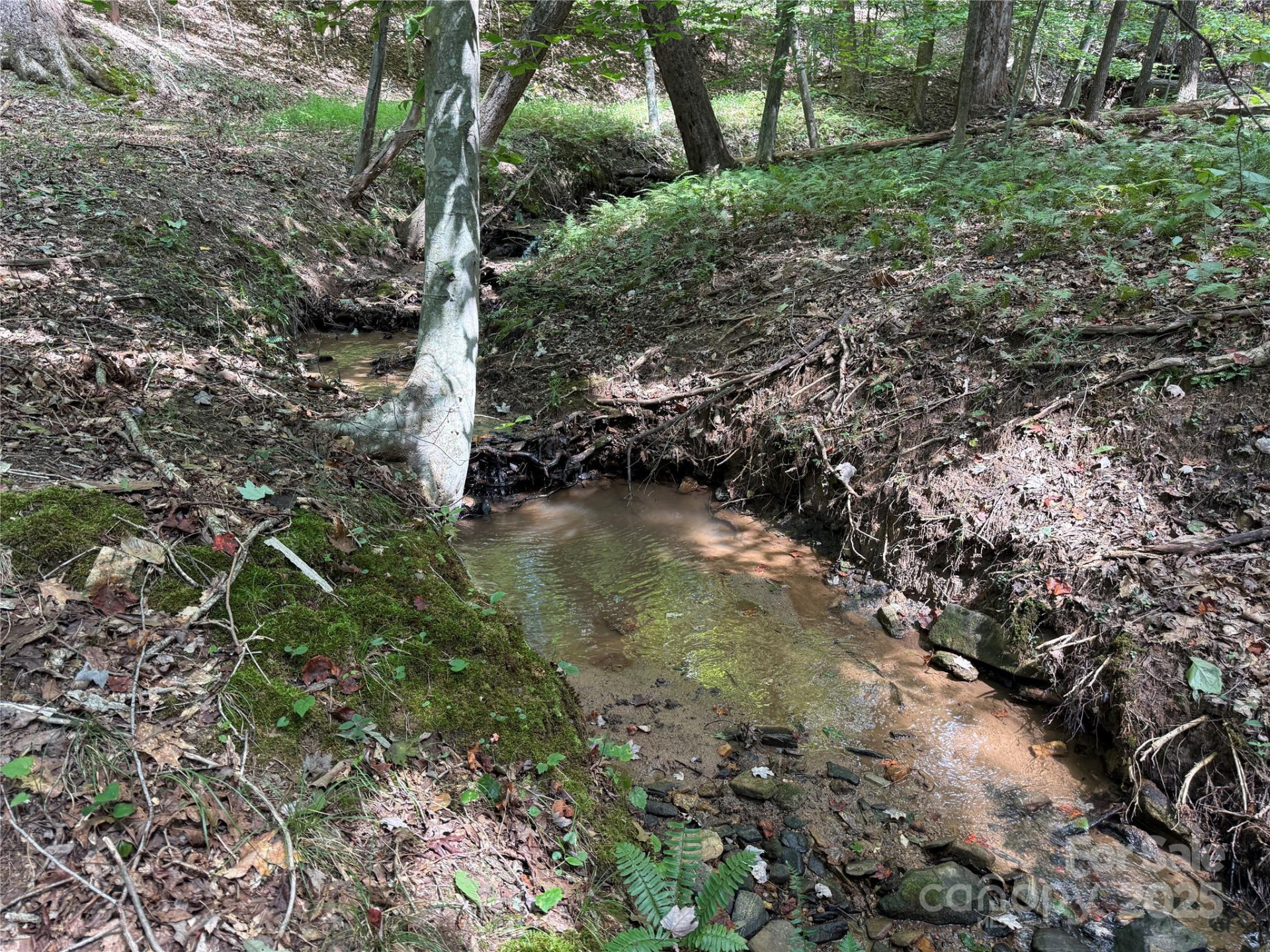 0 Mountain Brook Trail #298 - Photo 11