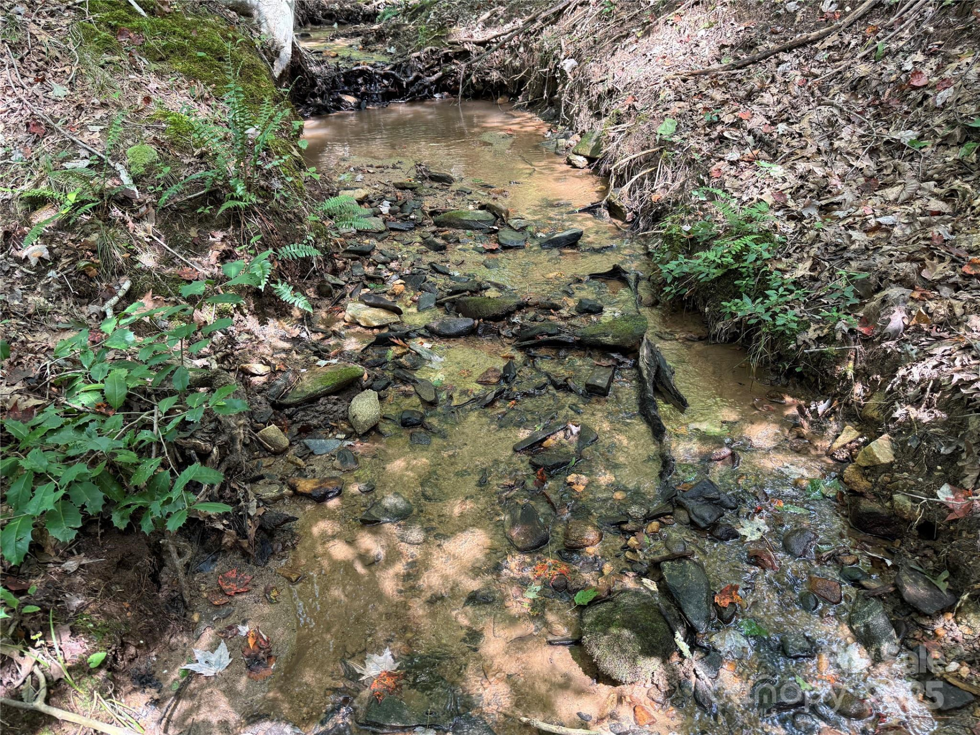 0 Mountain Brook Trail #298 - Photo 12