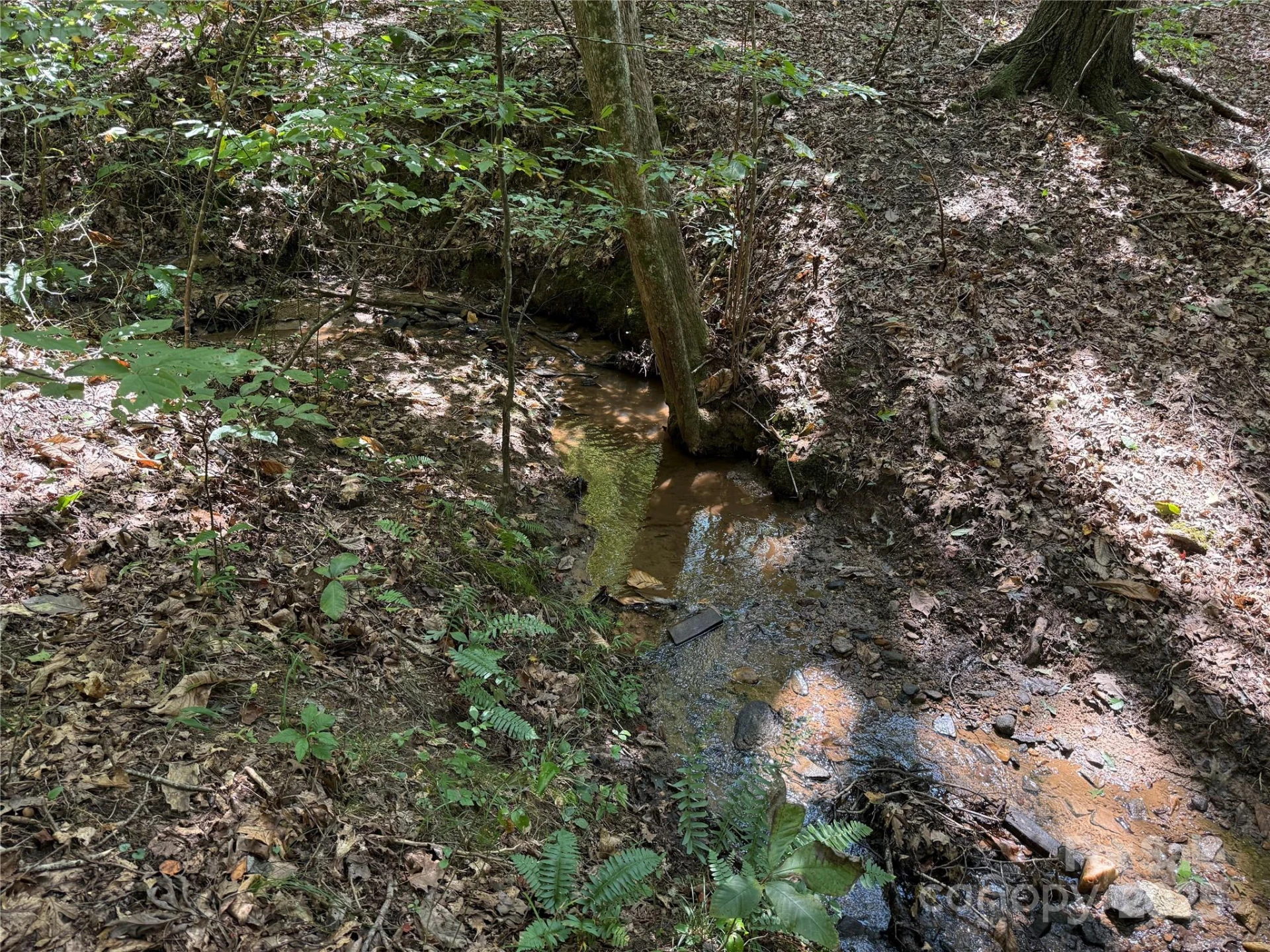 0 Mountain Brook Trail #298 - Photo 14