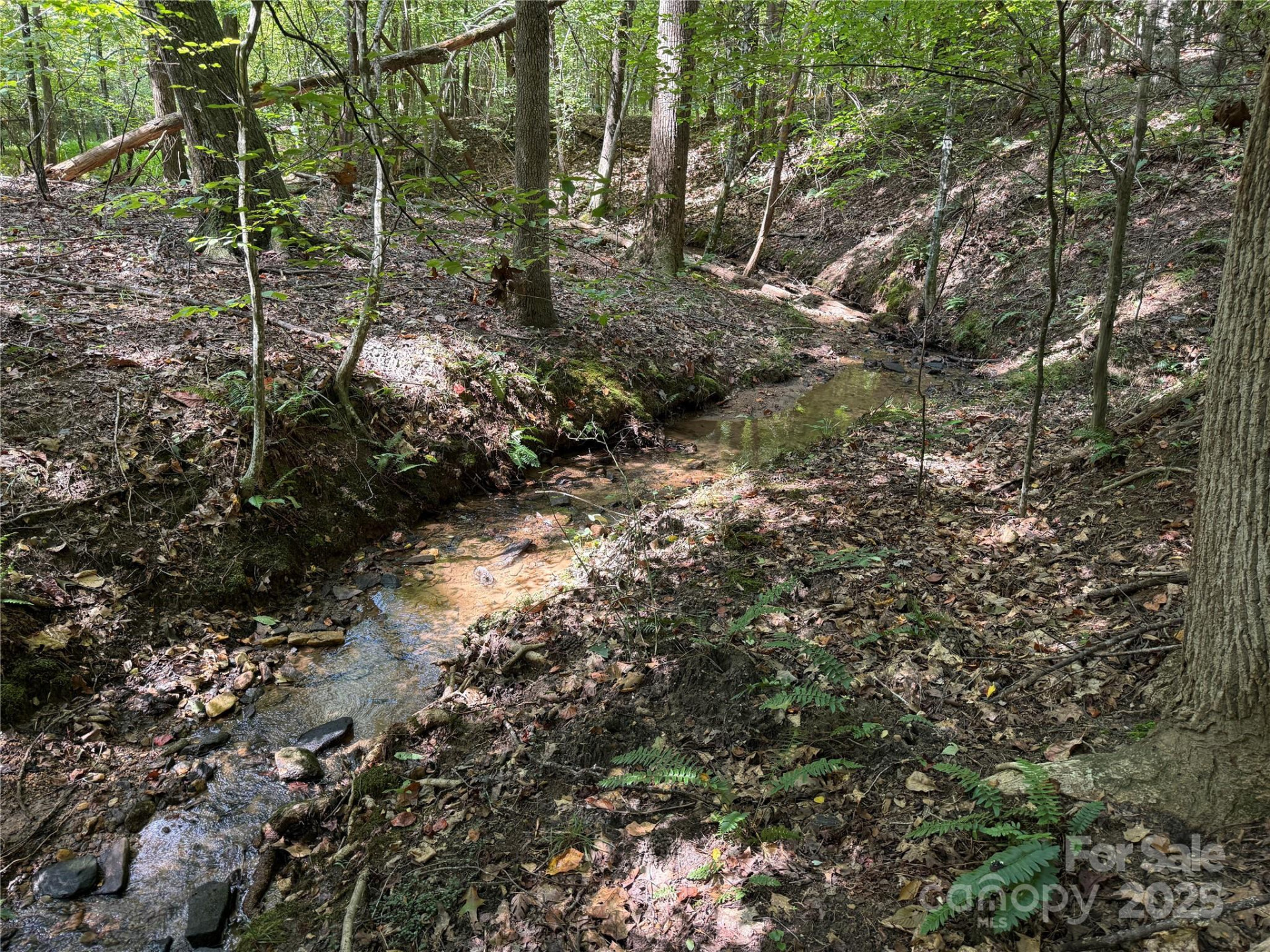 0 Mountain Brook Trail #298 - Photo 15