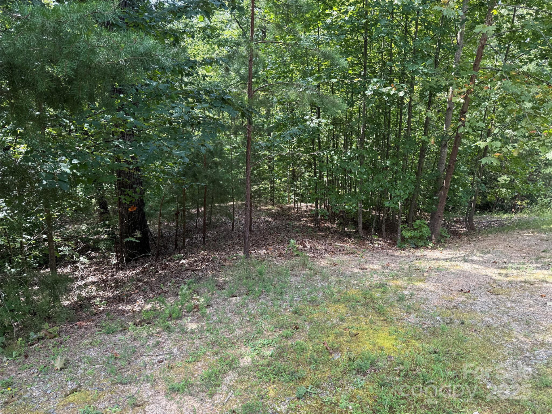 0 Mountain Brook Trail #298 - Photo 19