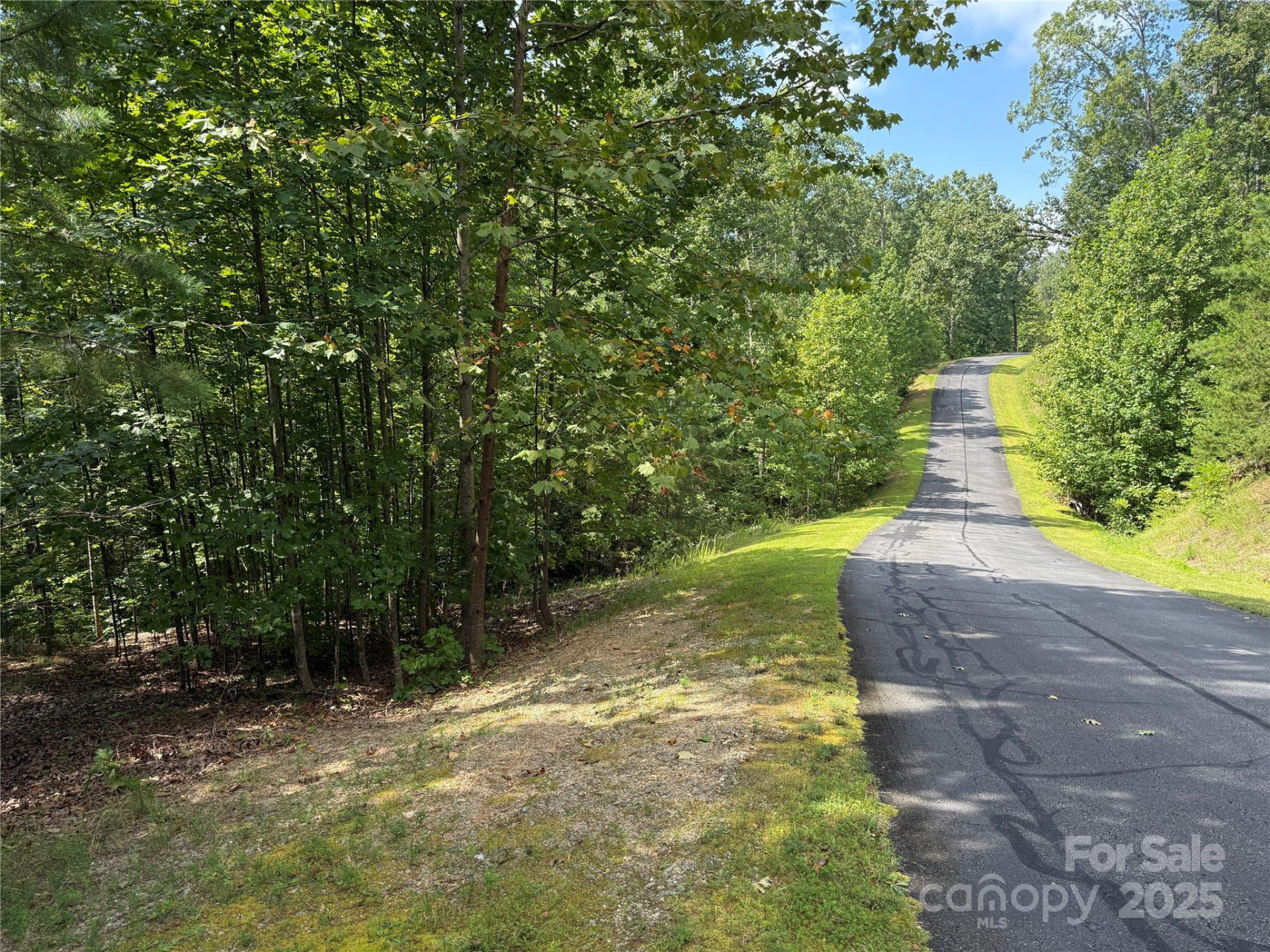 0 Mountain Brook Trail #298 - Photo 20