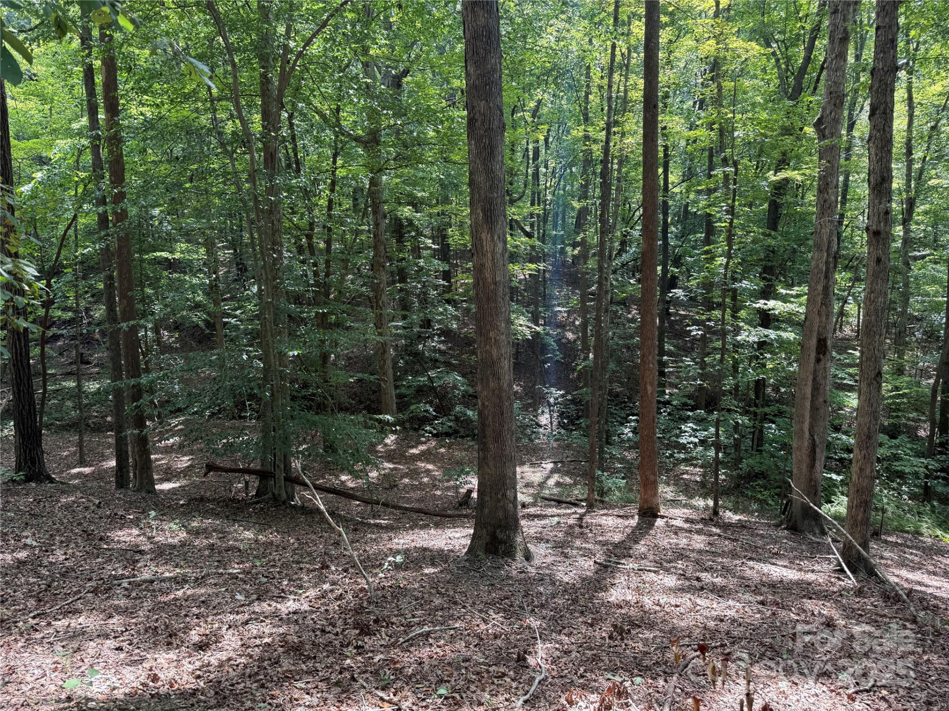 0 Mountain Brook Trail #298 - Photo 3