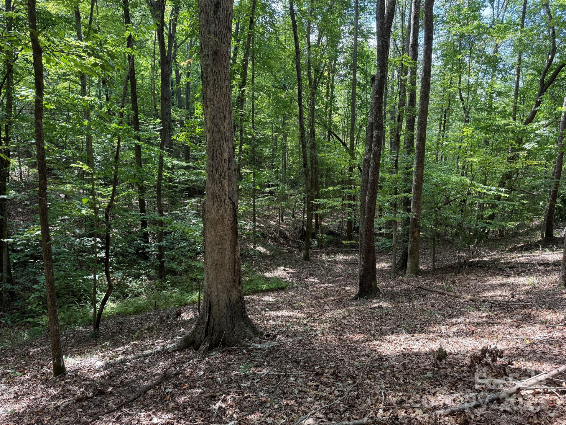 0 Mountain Brook Trail #298 - Photo 4