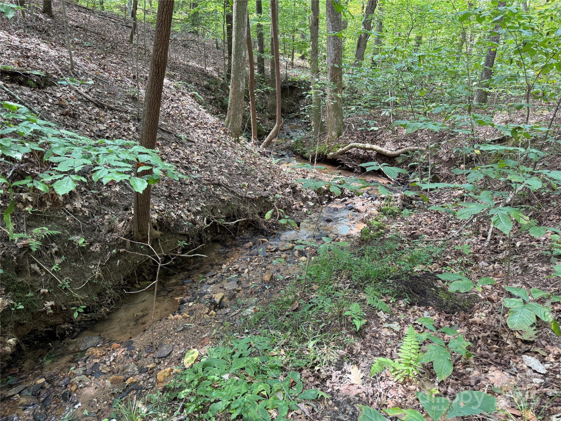 0 Mountain Brook Trail #298 - Photo 8