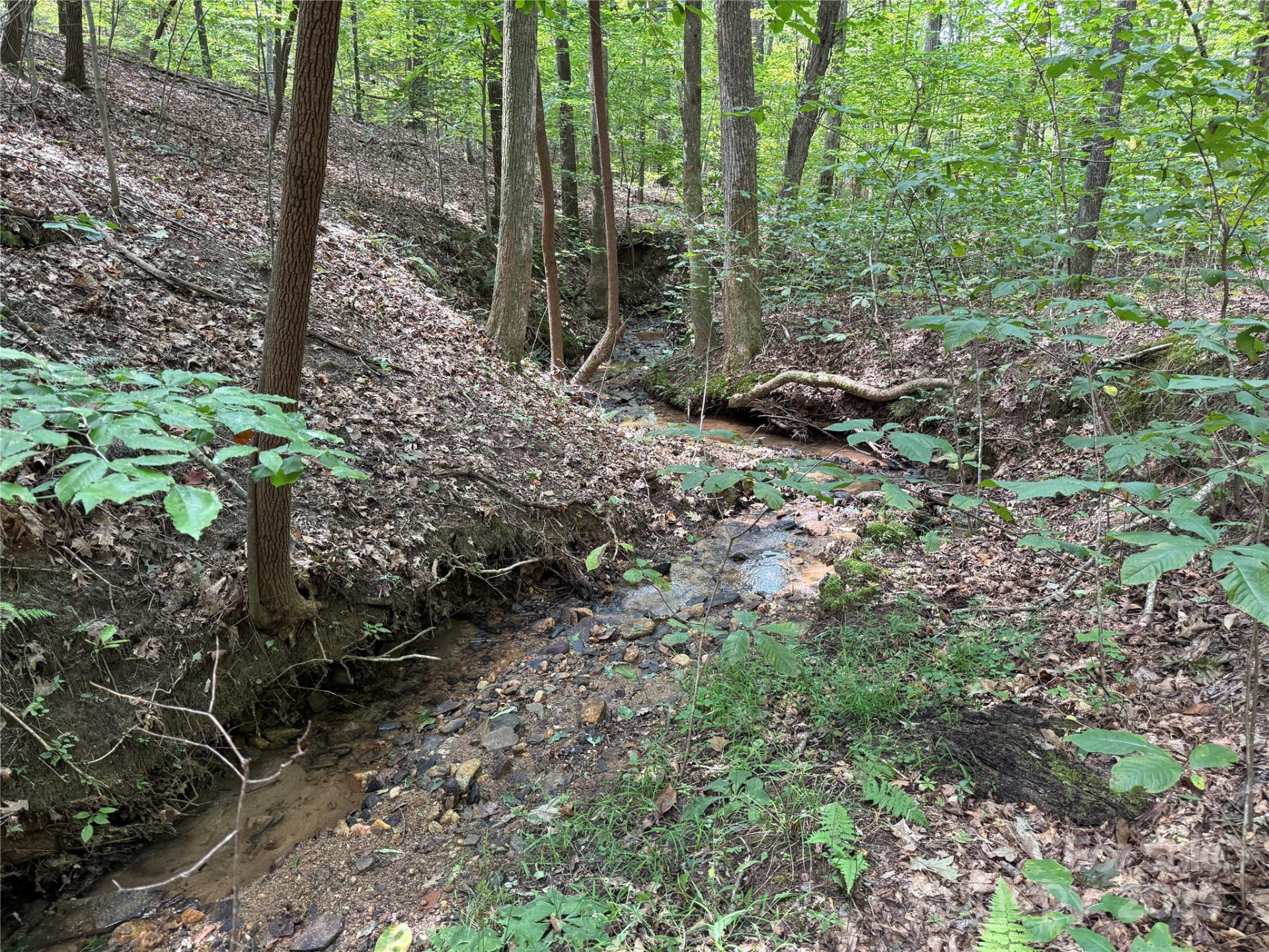 0 Mountain Brook Trail #298 - Photo 9