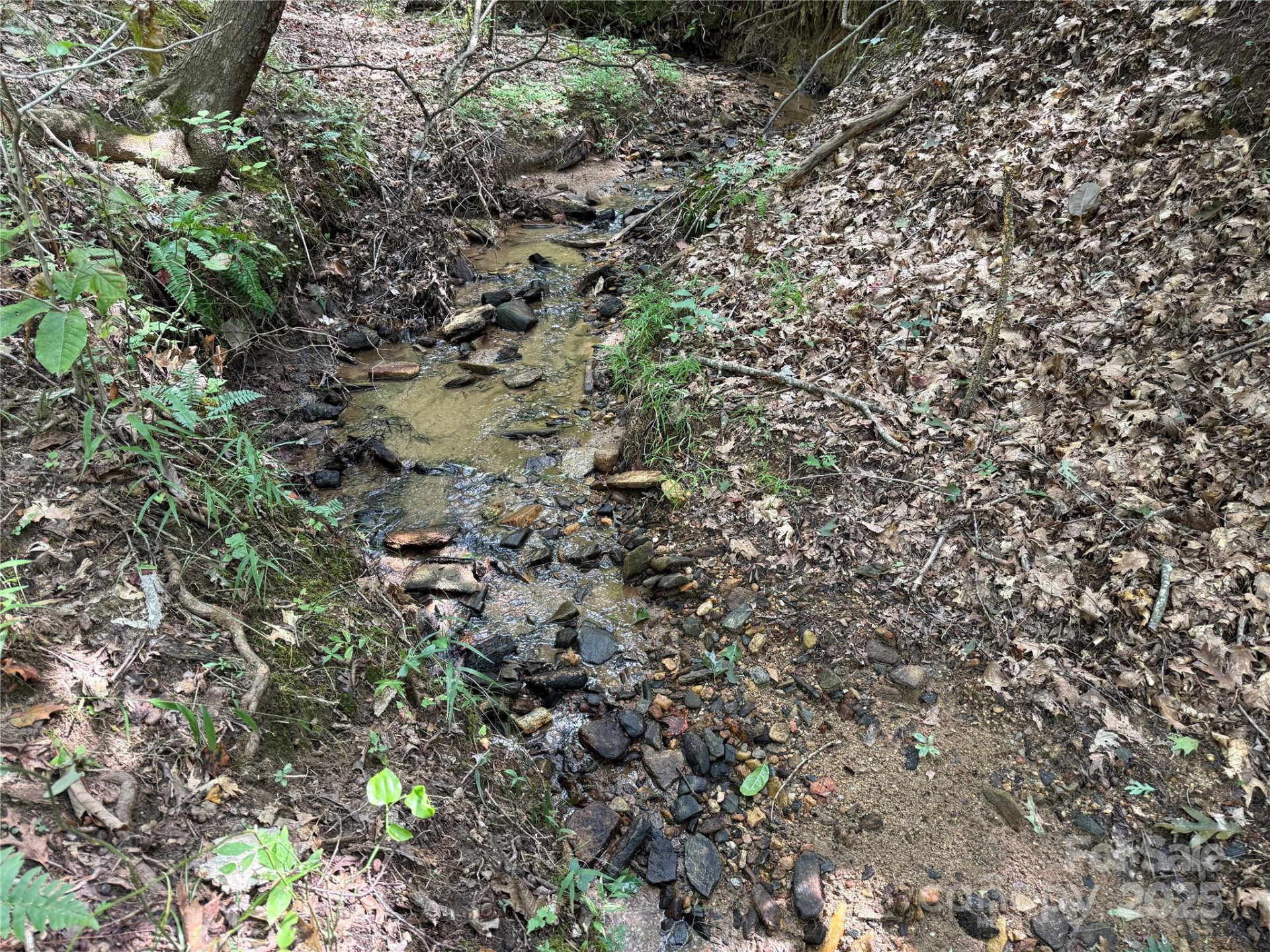 0 Mountain Brook Trail #298 - Photo 10