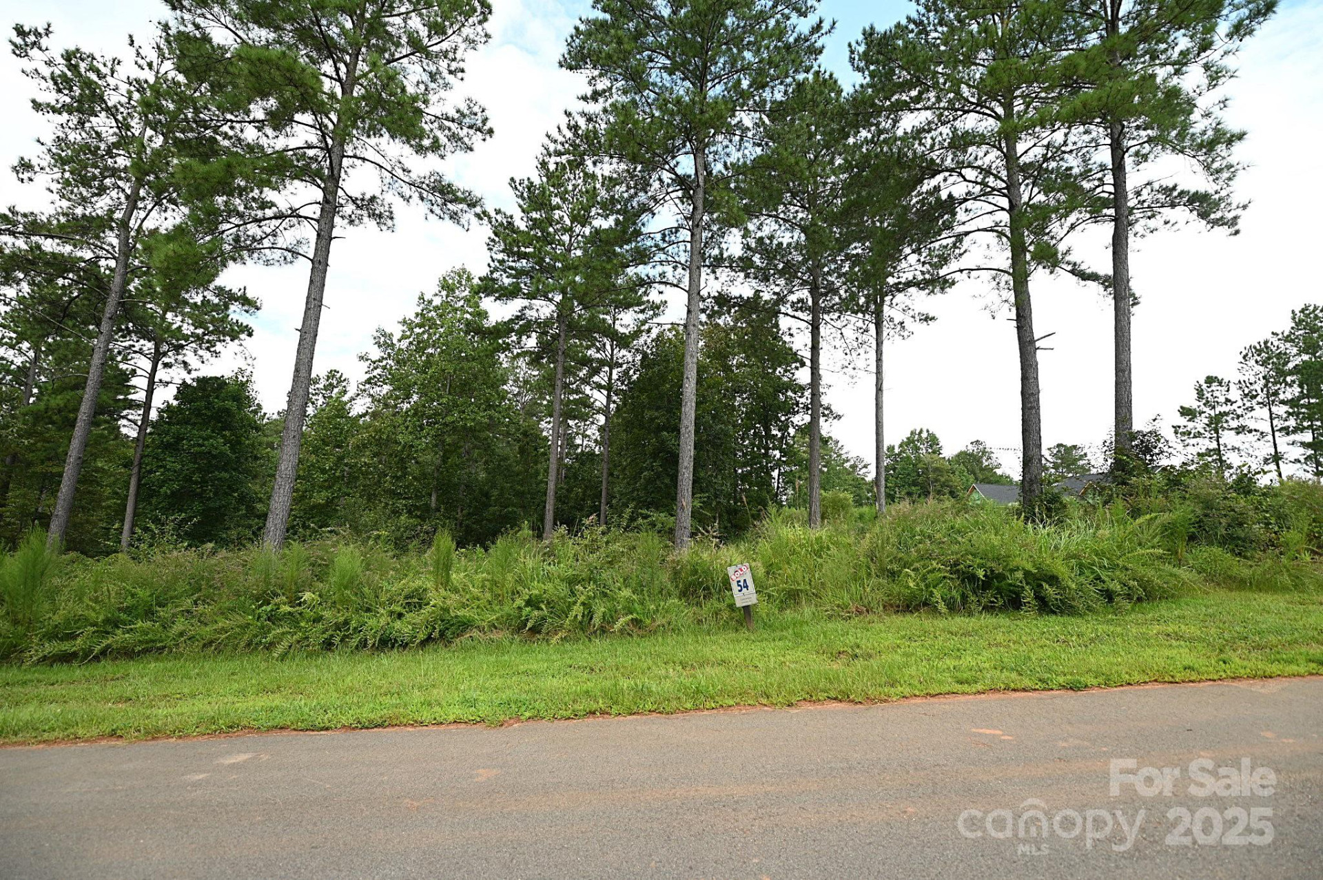 2576 Jumping Run - Photo 14