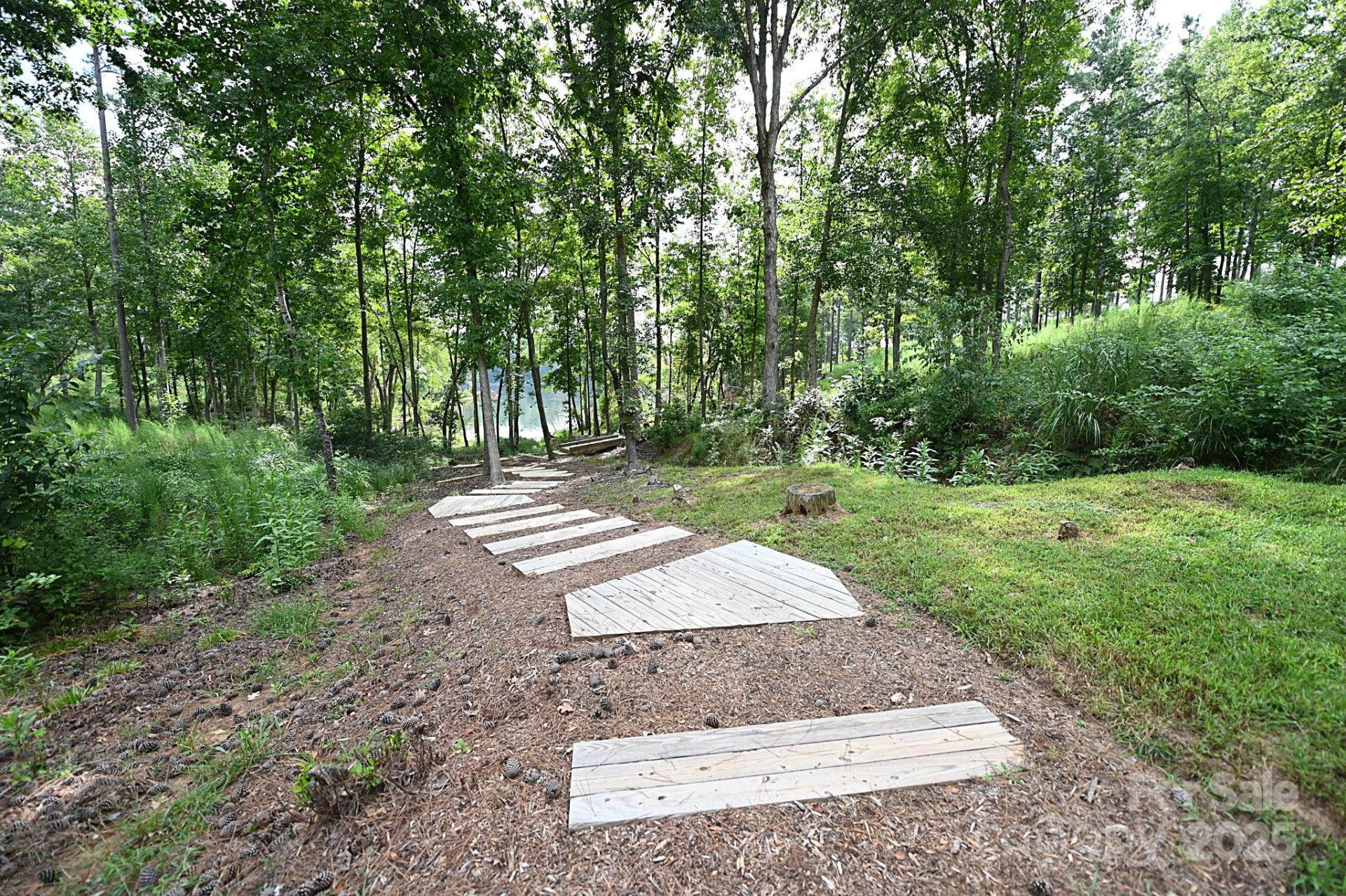 2576 Jumping Run - Photo 21