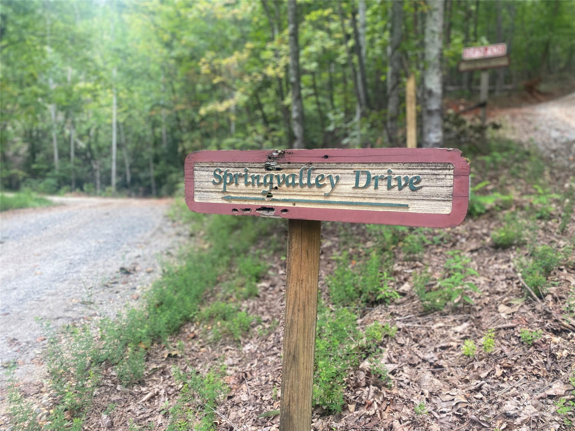 00 Springvalley Drive - Photo 11