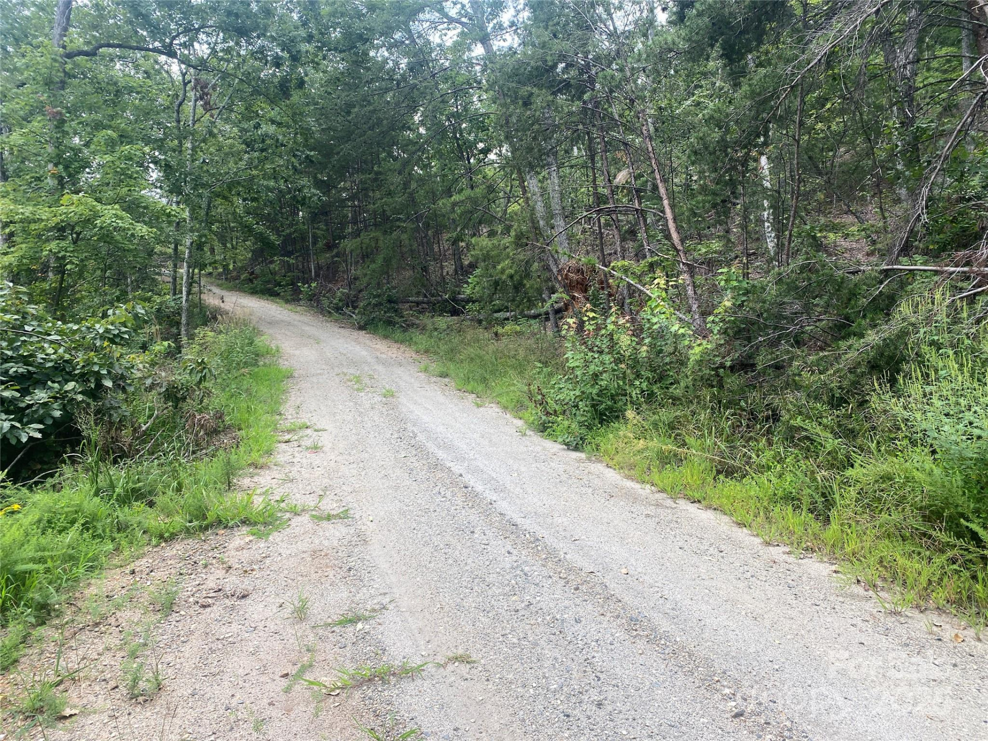 00 Springvalley Drive - Photo 5