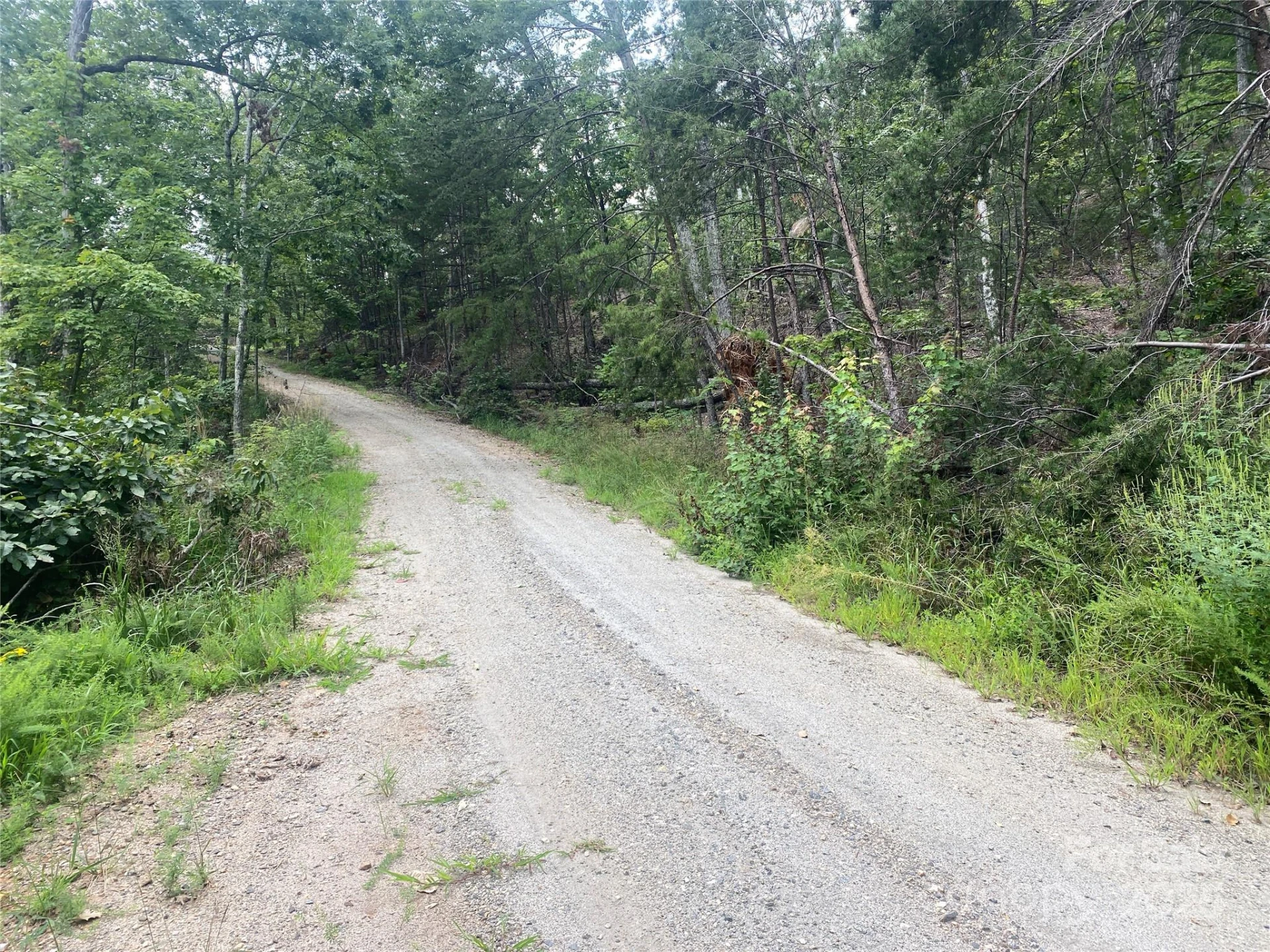00 Springvalley Drive - Photo 5