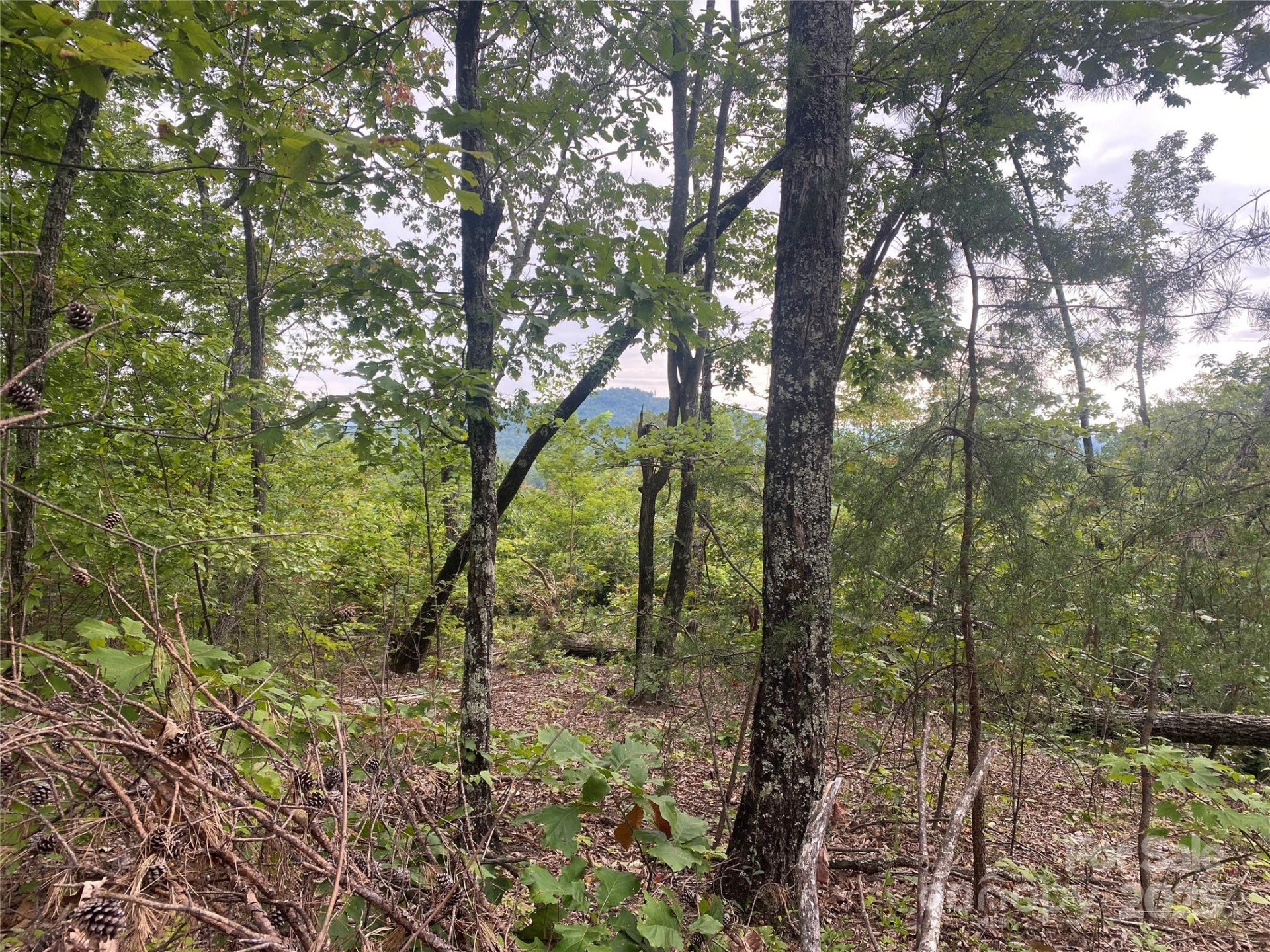 00 Springvalley Drive - Photo 8