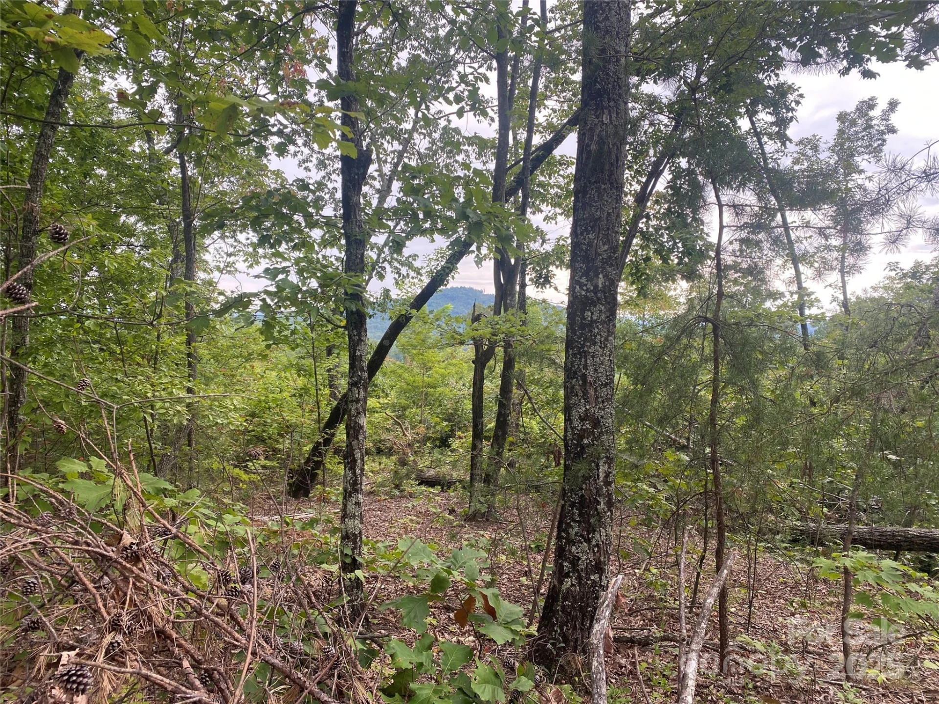 00 Springvalley Drive - Photo 8