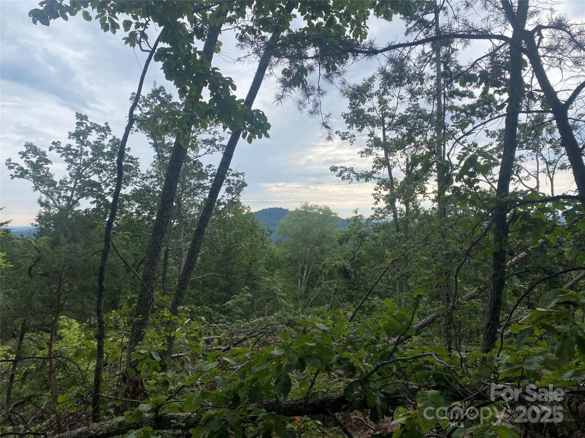 00 Springvalley Drive - Photo 9