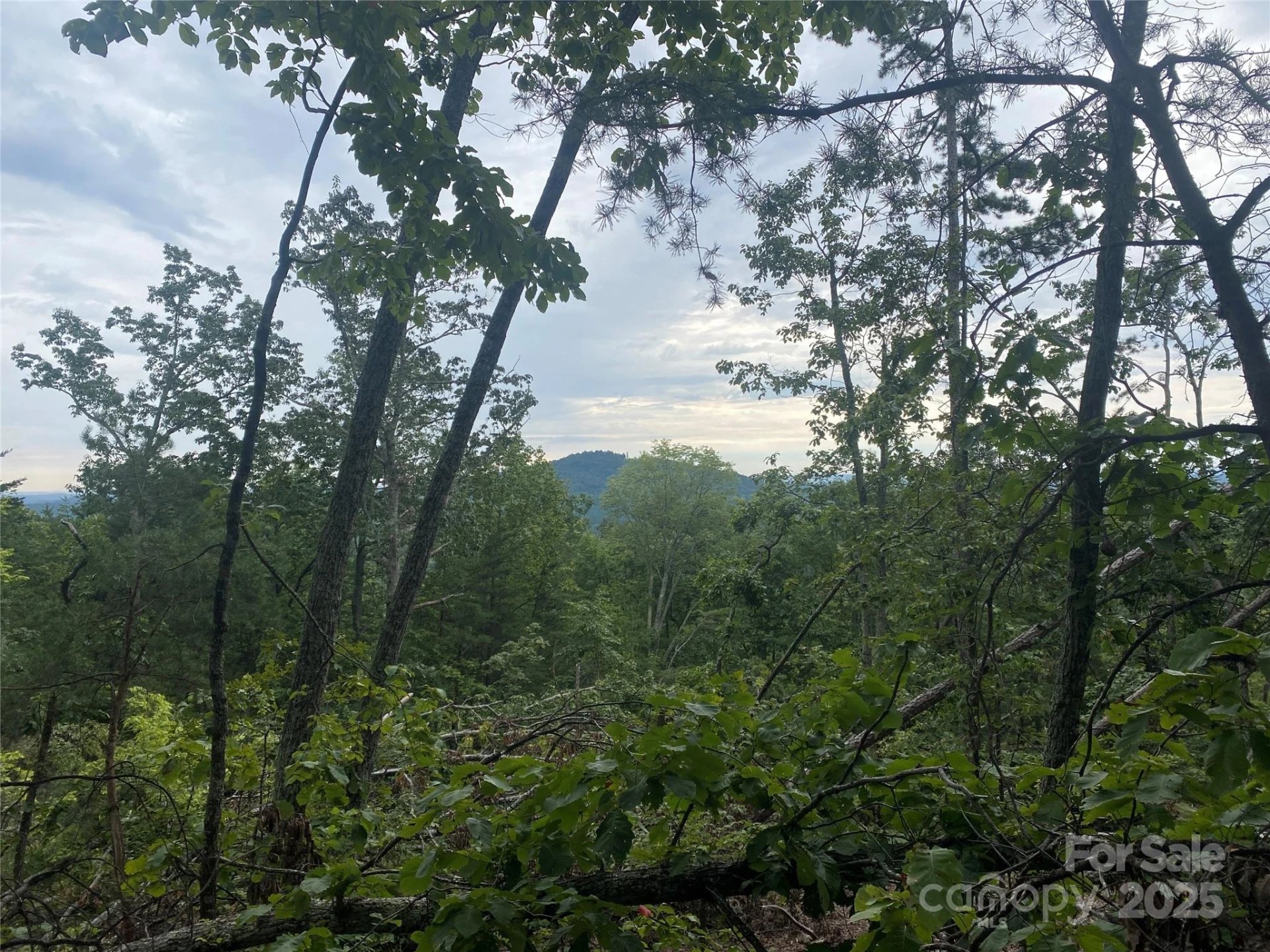 00 Springvalley Drive - Photo 9