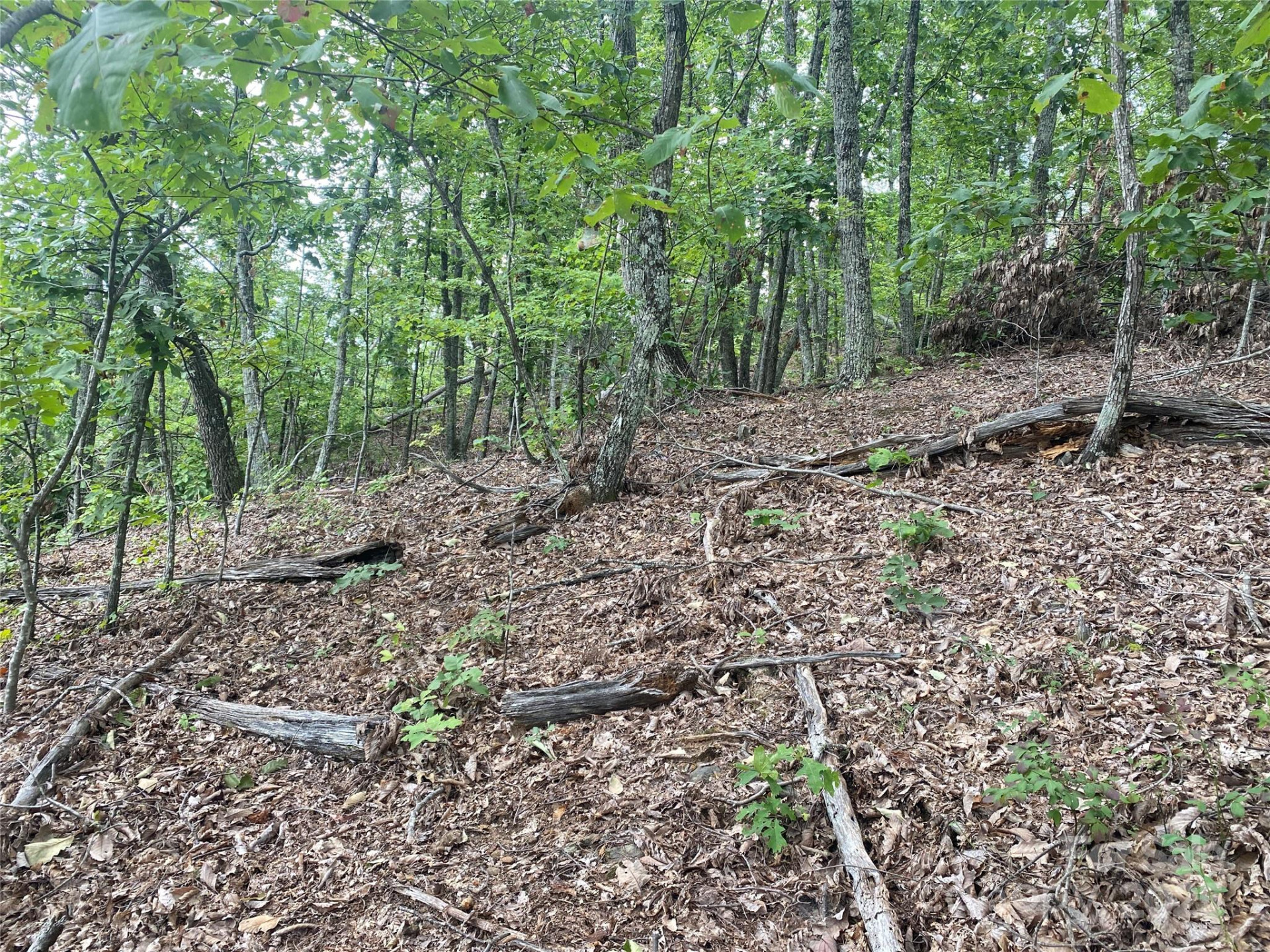 00 Springvalley Drive - Photo 10