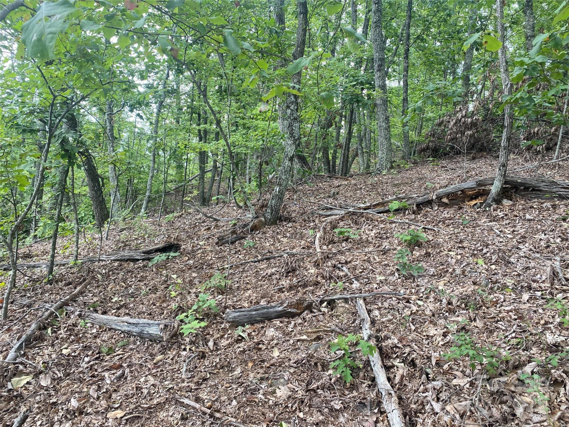 00 Springvalley Drive - Photo 10