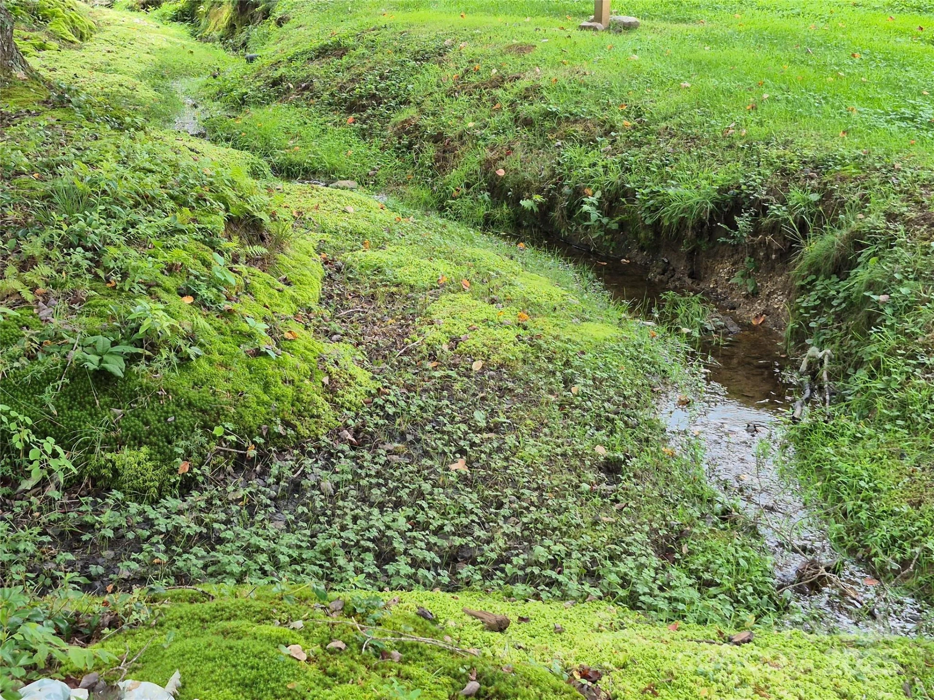 Lot #26 Meandering Way - Photo 4