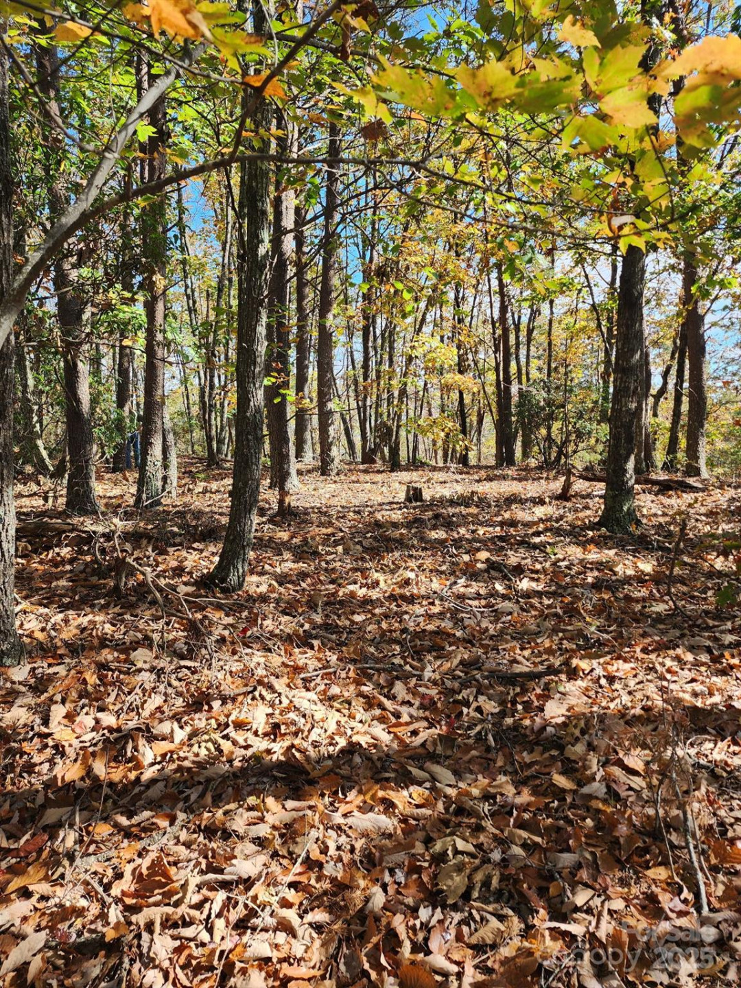 0 Mountain Lookout Drive #35