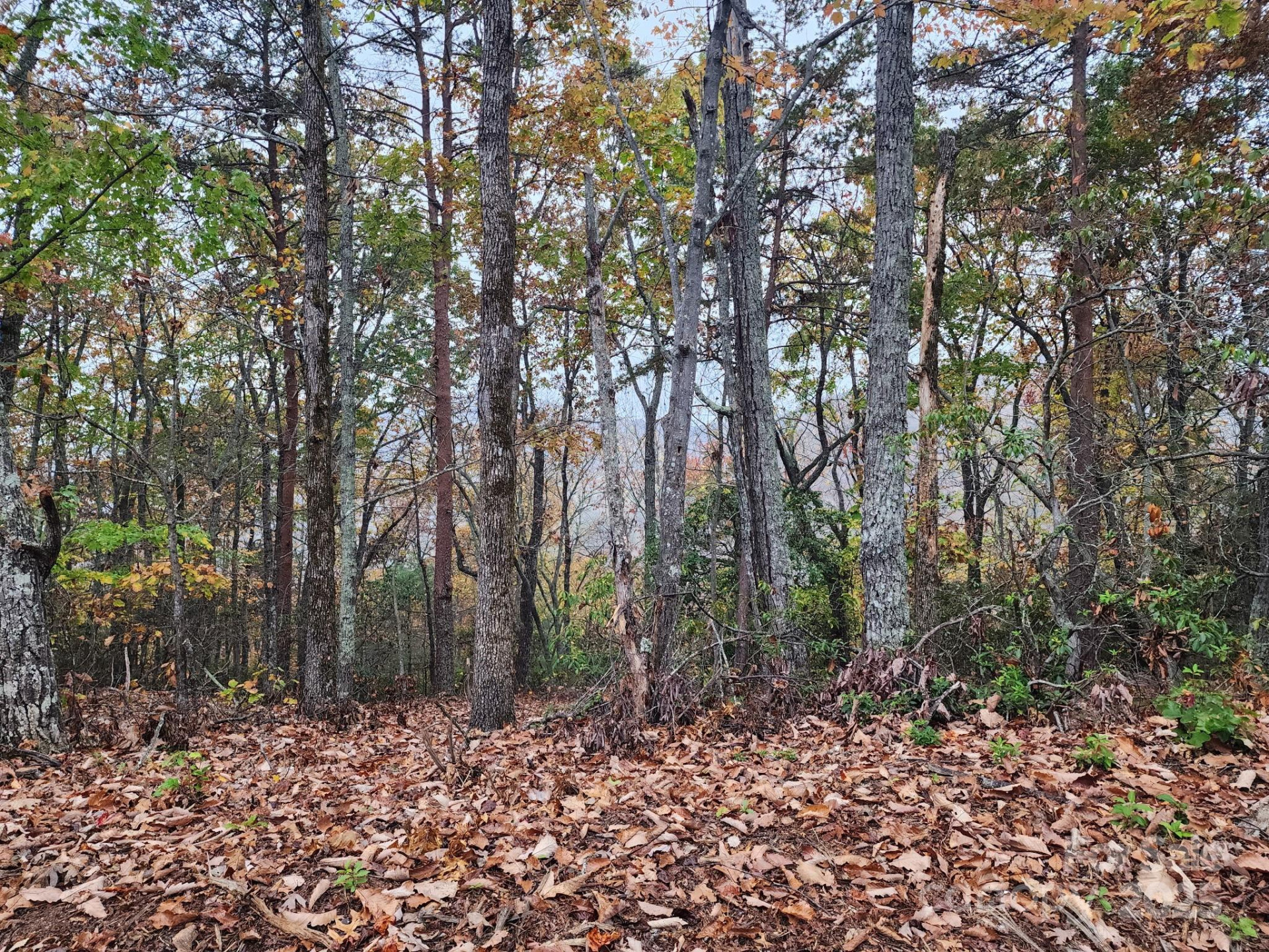 0 Mountain Lookout Drive #35 - Photo 2