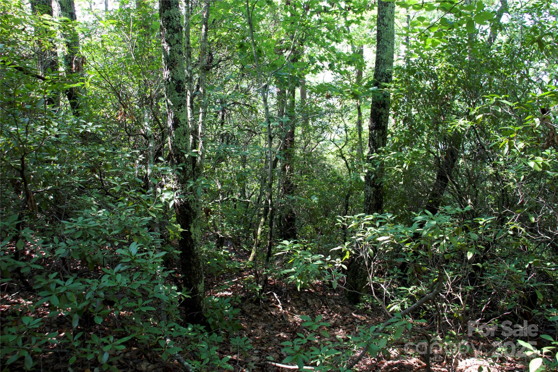 0 Mountain Lookout Drive #35 - Photo 11