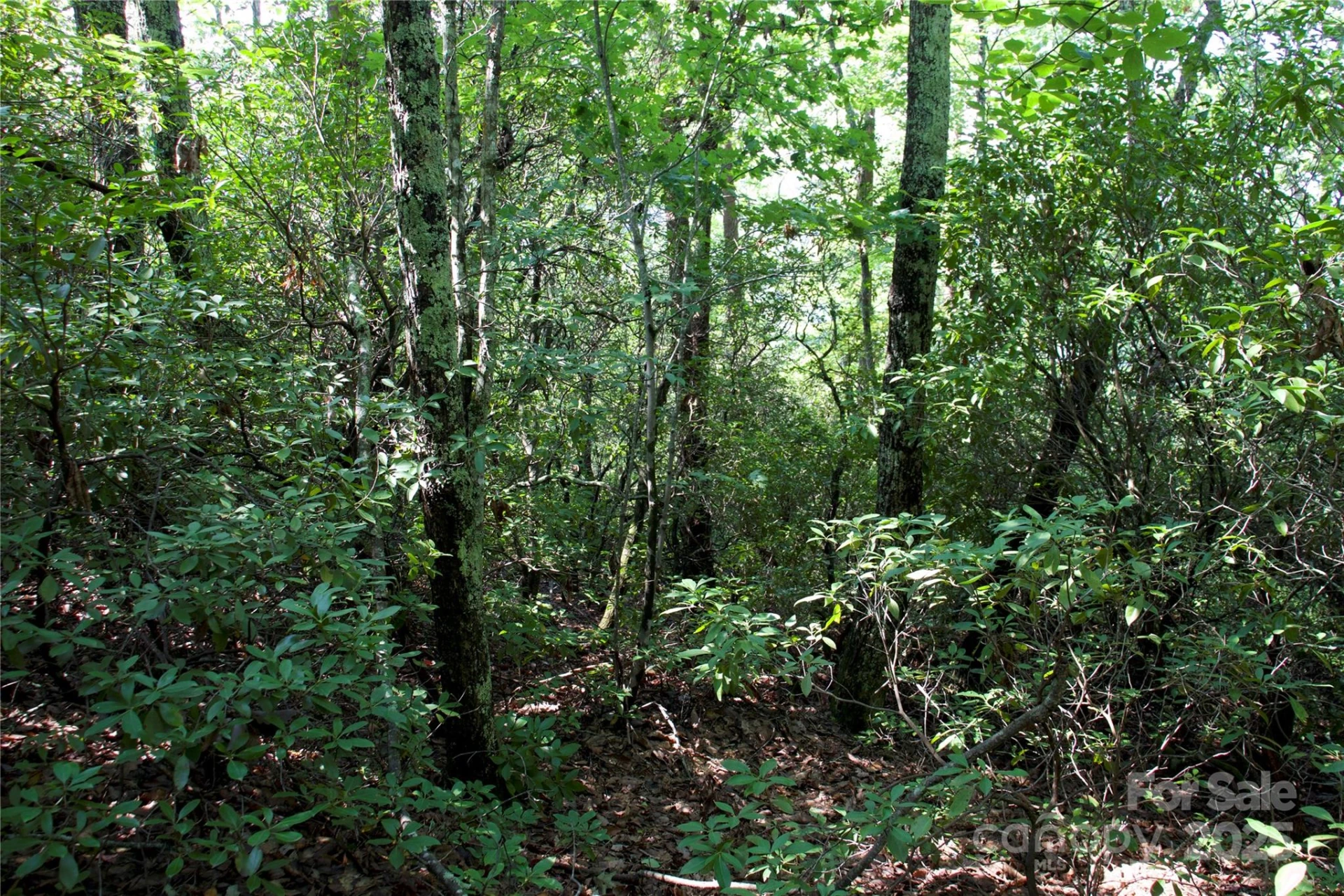 0 Mountain Lookout Drive #35 - Photo 11