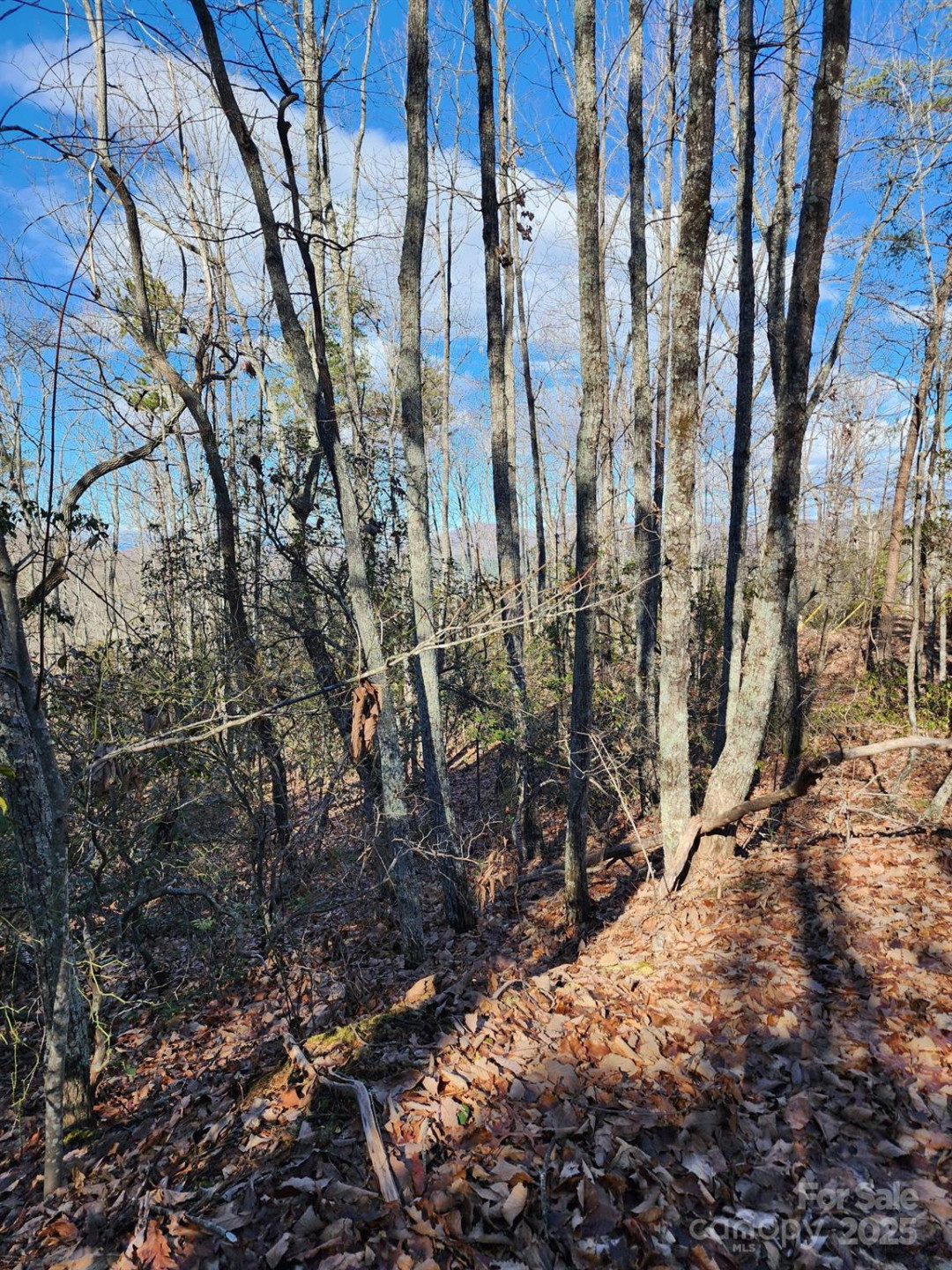 0 Mountain Lookout Drive #35 - Photo 12