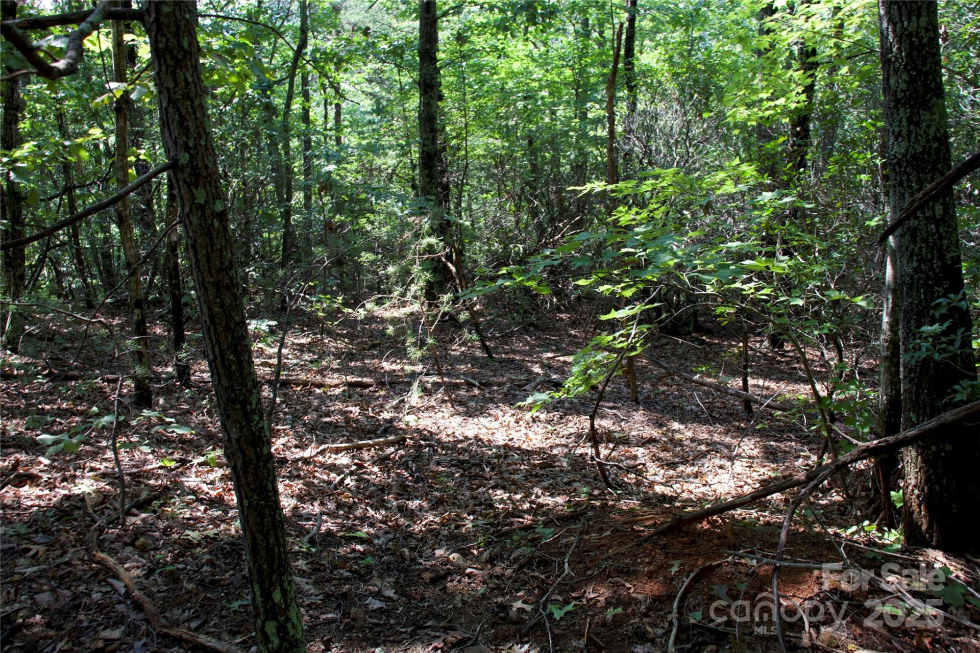 0 Mountain Lookout Drive #35 - Photo 14