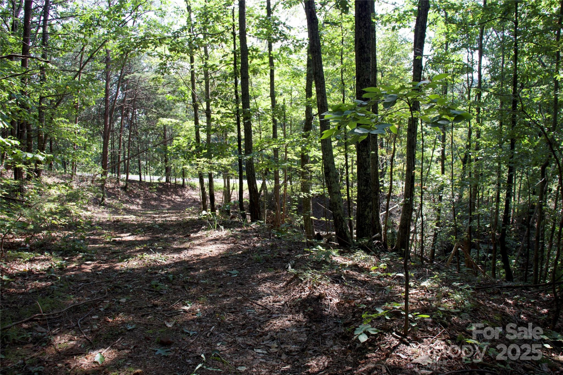 0 Mountain Lookout Drive #35 - Photo 15