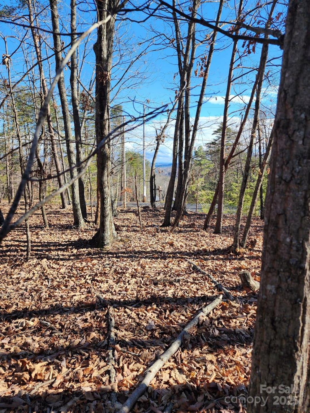 0 Mountain Lookout Drive #35 - Photo 16