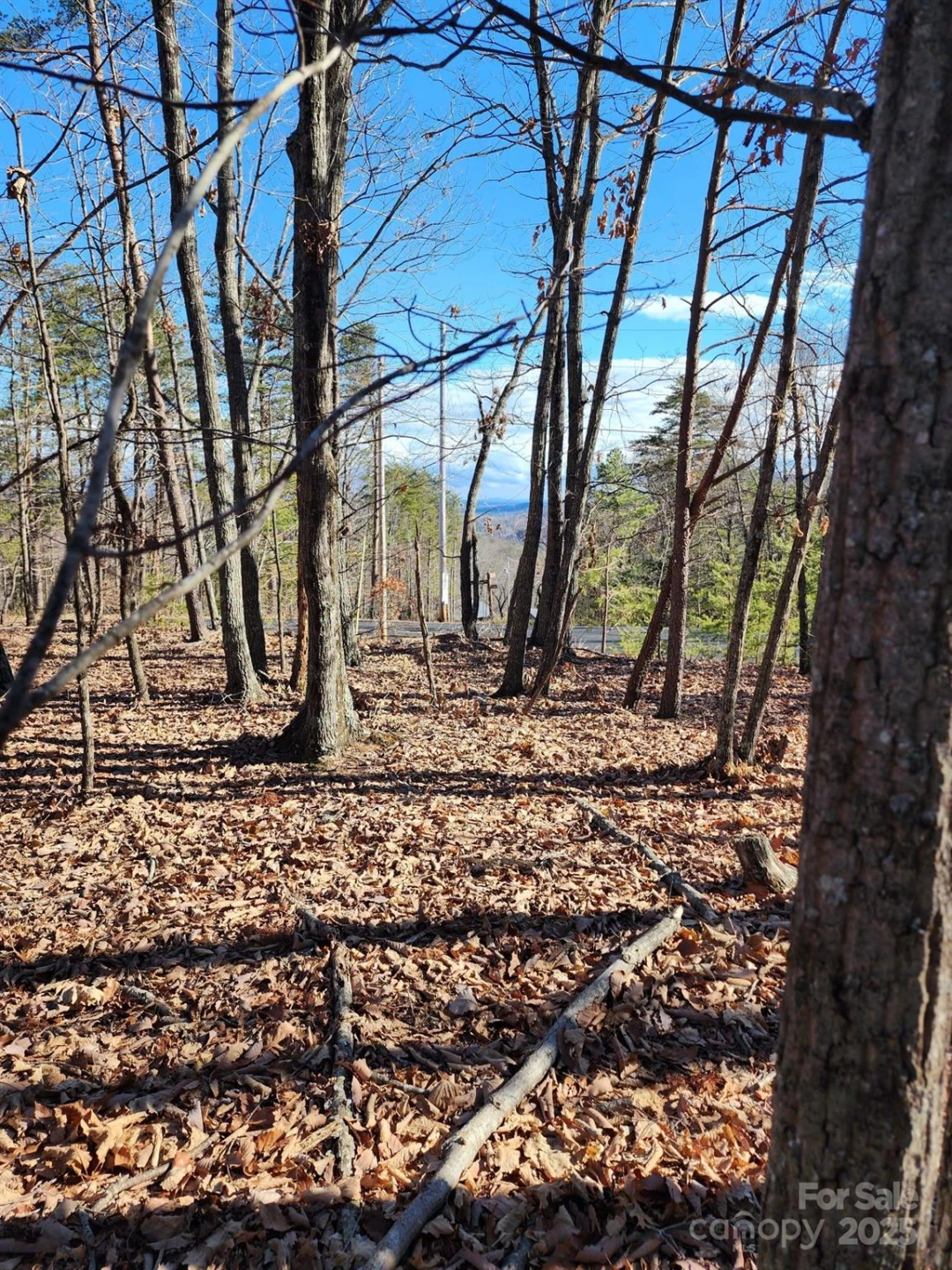 0 Mountain Lookout Drive #35 - Photo 16