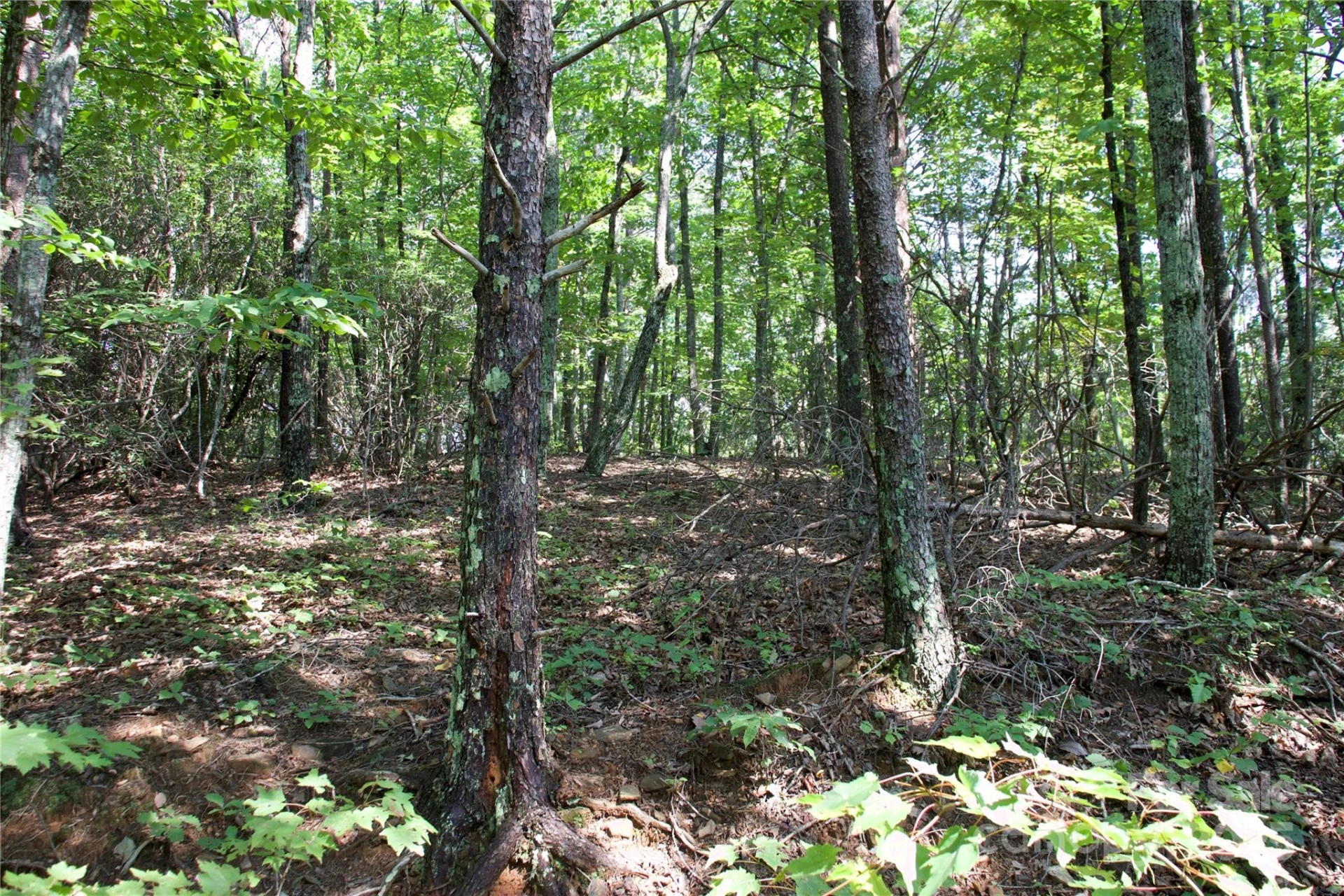 0 Mountain Lookout Drive #35 - Photo 17