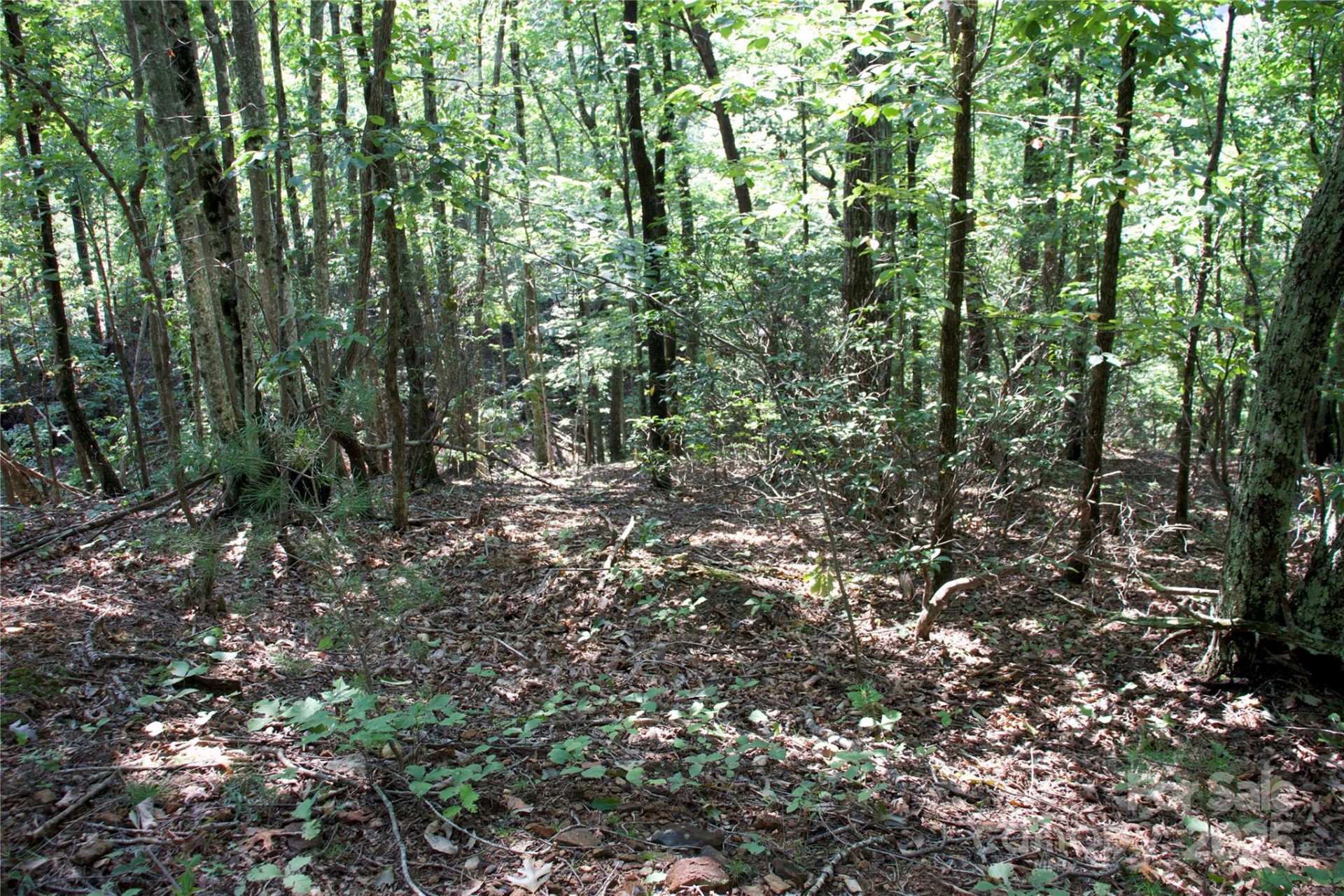 0 Mountain Lookout Drive #35 - Photo 18