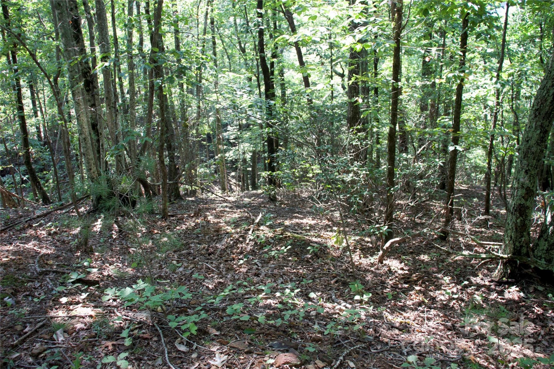 0 Mountain Lookout Drive #35 - Photo 18