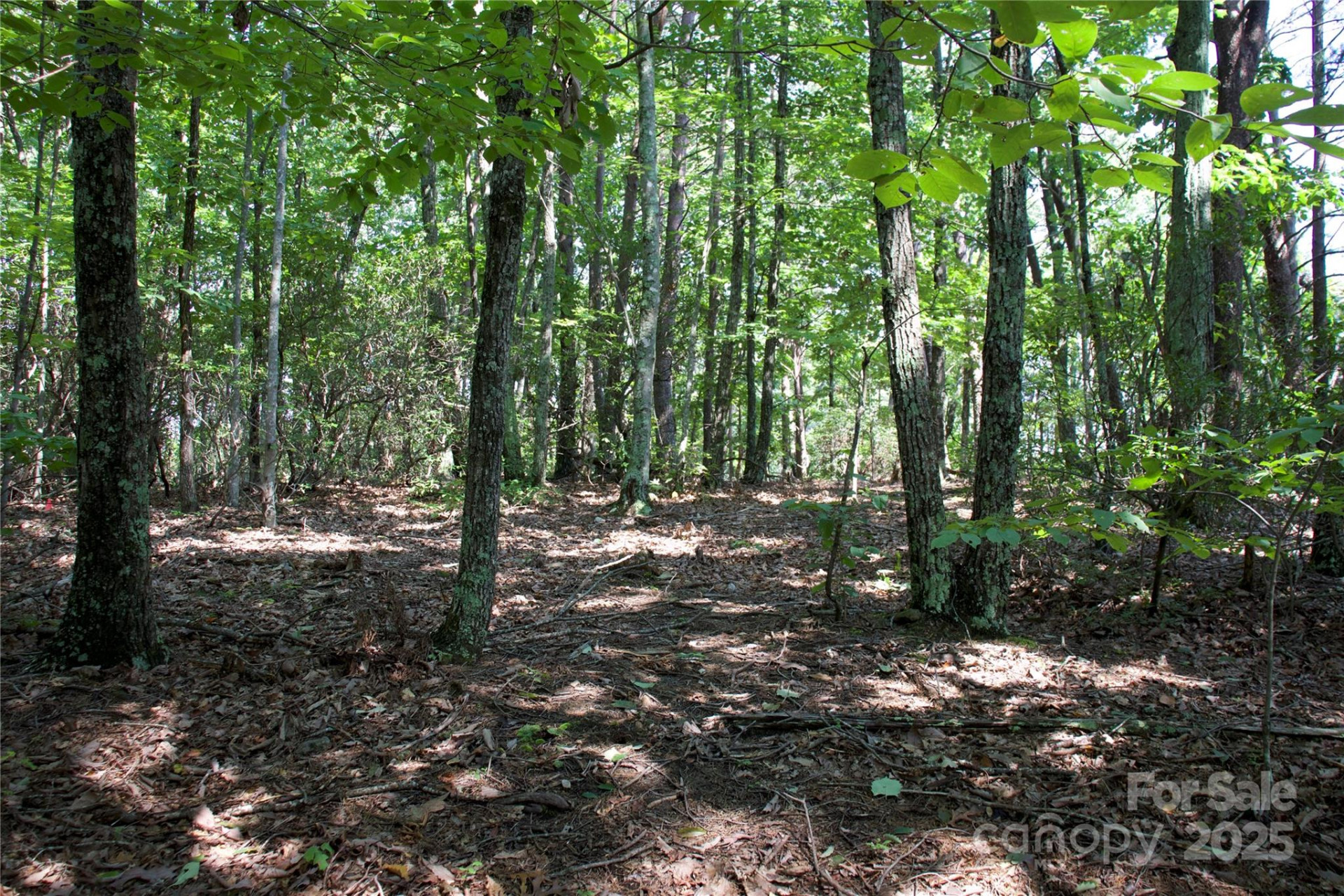 0 Mountain Lookout Drive #35 - Photo 19