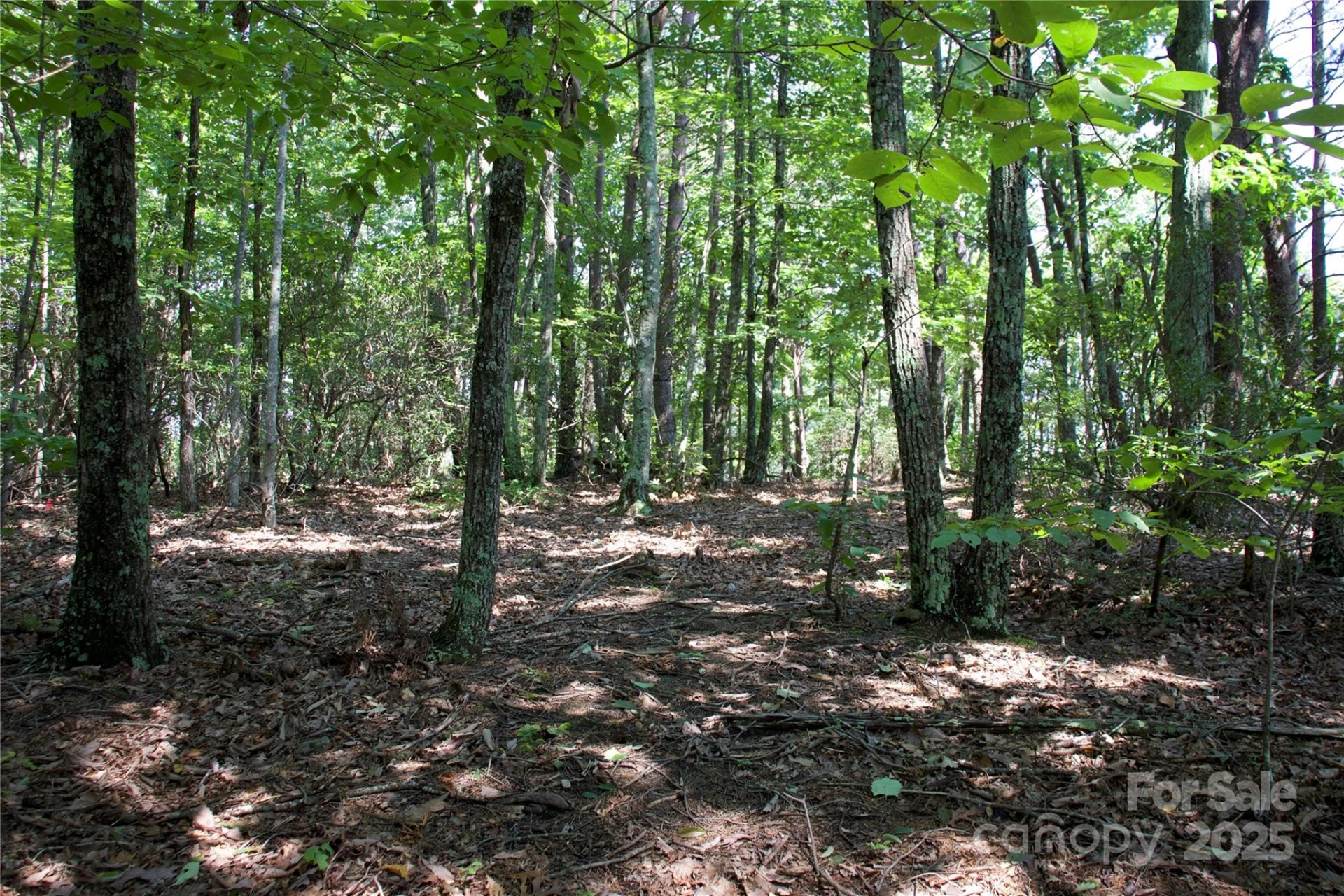 0 Mountain Lookout Drive #35 - Photo 19