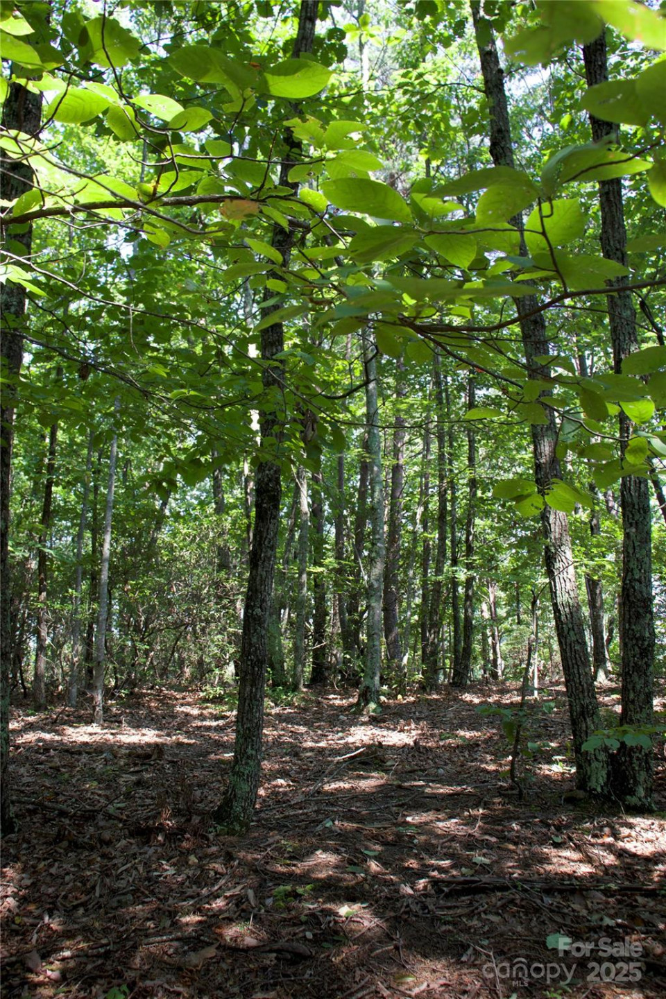 0 Mountain Lookout Drive #35 - Photo 20