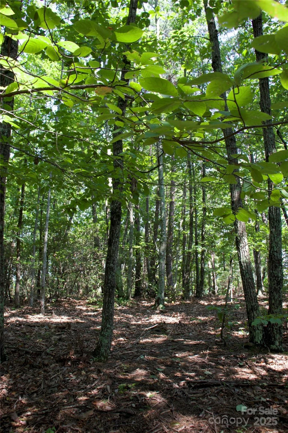 0 Mountain Lookout Drive #35 - Photo 20