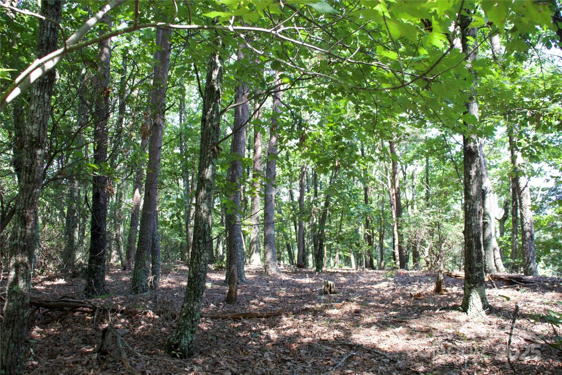 0 Mountain Lookout Drive #35 - Photo 21