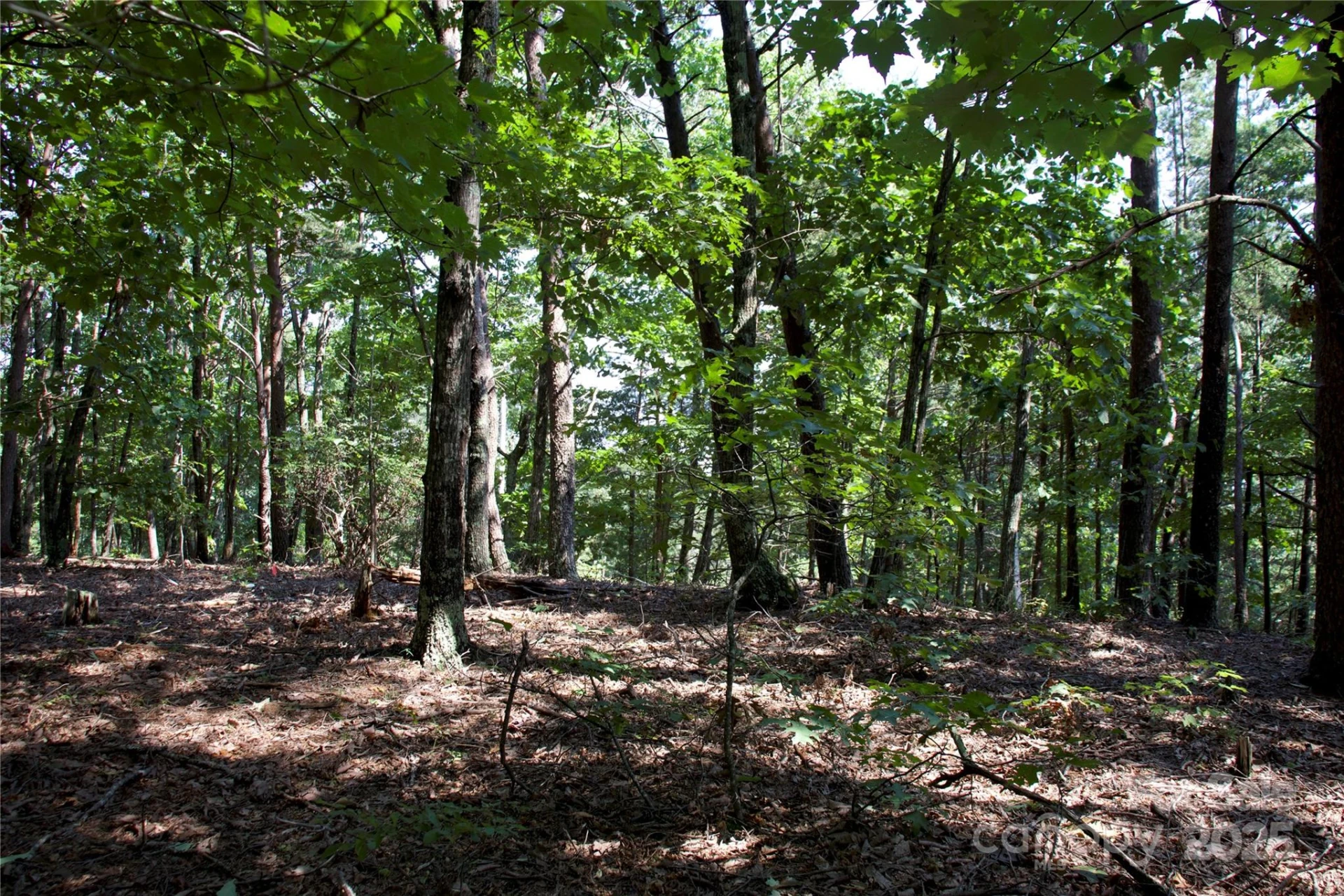 0 Mountain Lookout Drive #35 - Photo 22