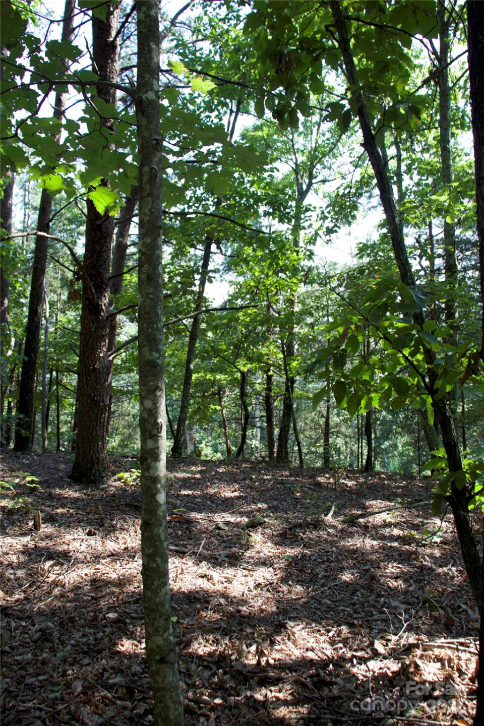 0 Mountain Lookout Drive #35 - Photo 23