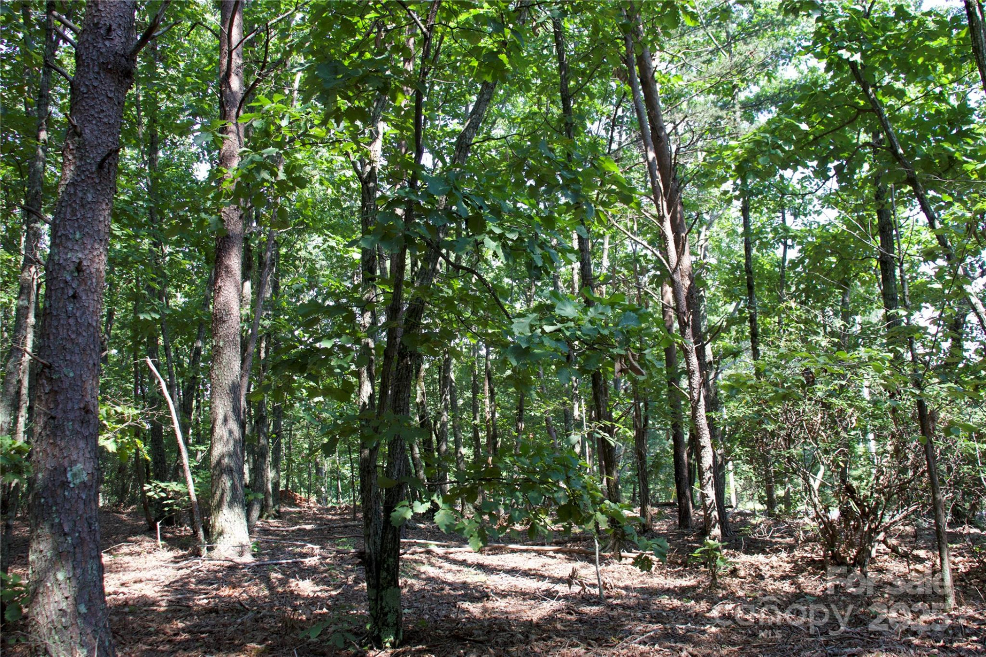 0 Mountain Lookout Drive #35 - Photo 24