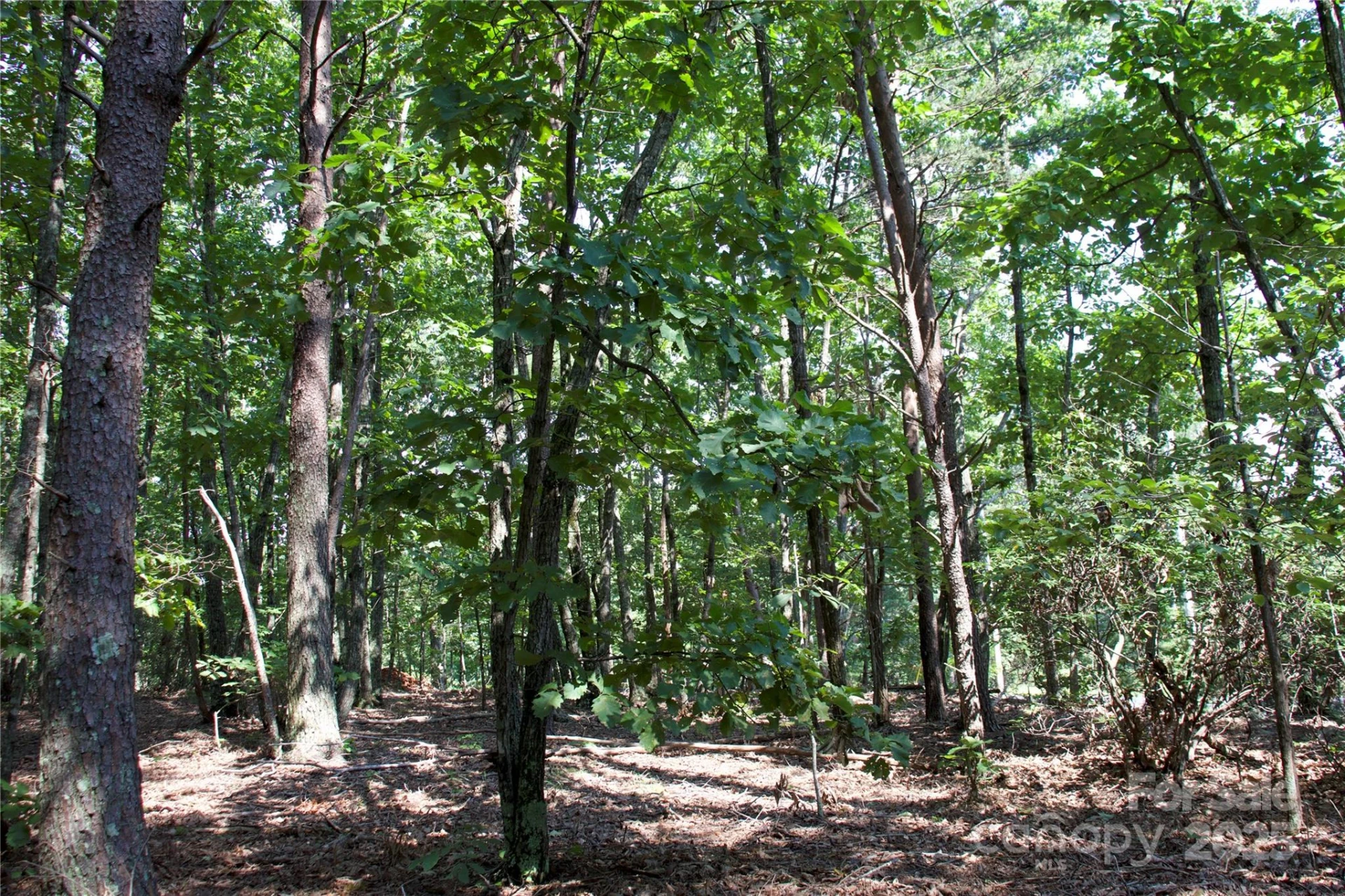 0 Mountain Lookout Drive #35 - Photo 24